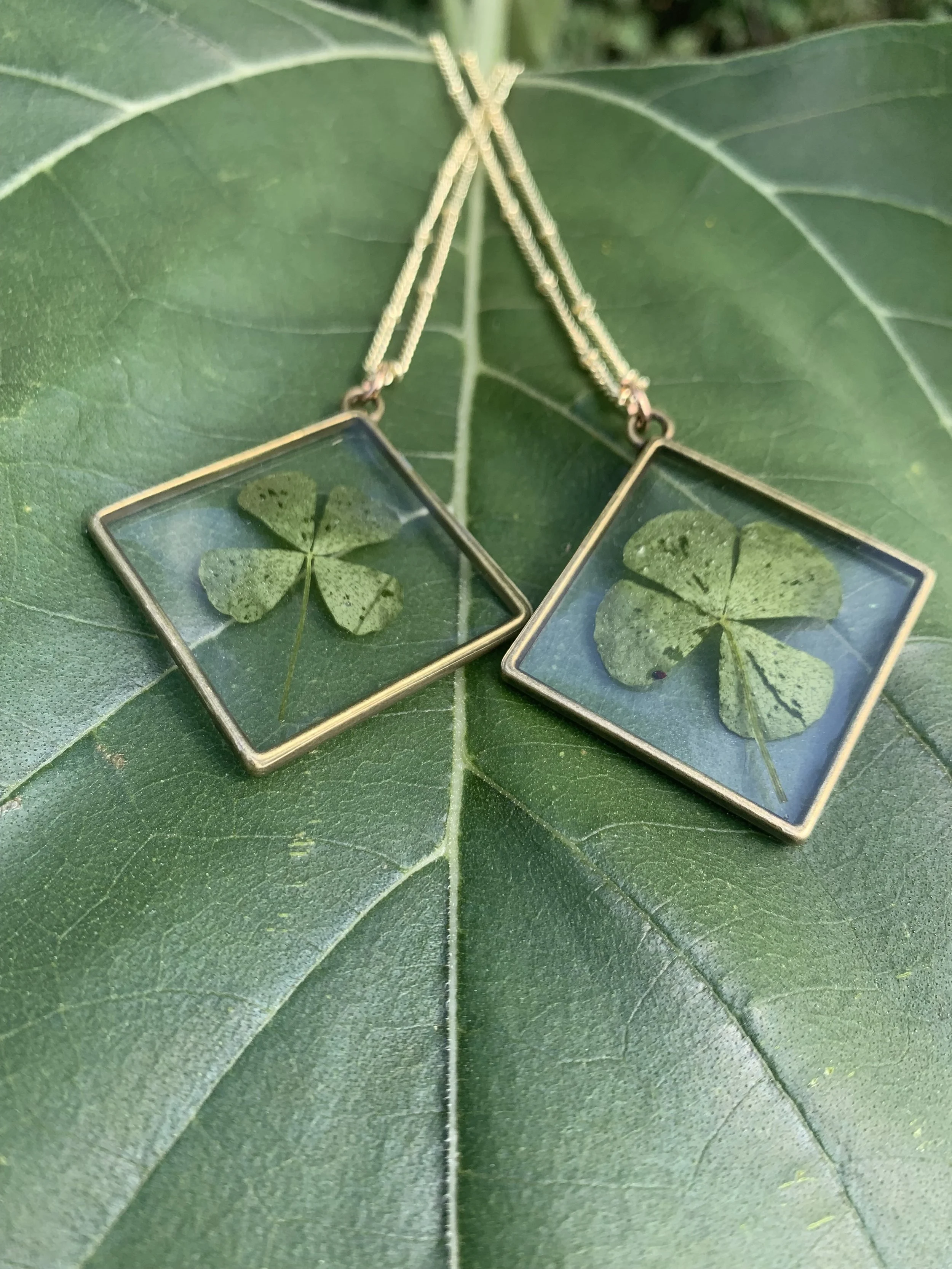 A necklace with a square glass pendant containing a four-leaf clover, placed on a large green leaf.