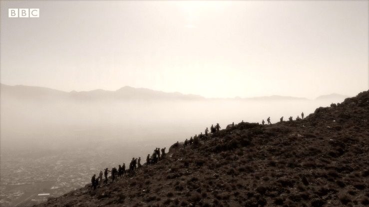 Breaking out of the cage, 2022