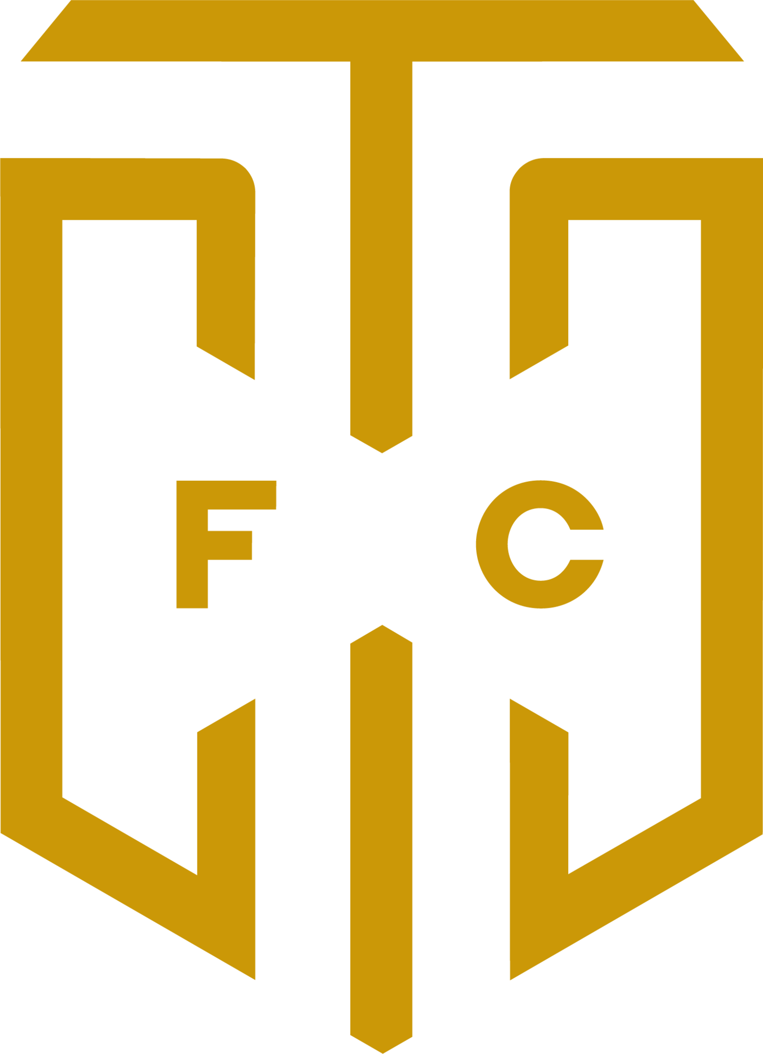 Cape Town City Football Club