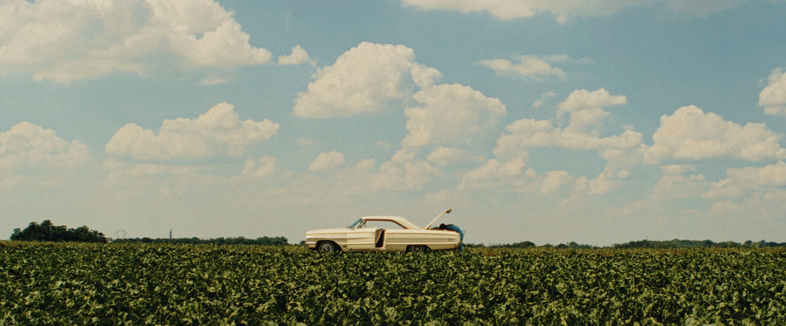 Short Film - Drive Baby Drive