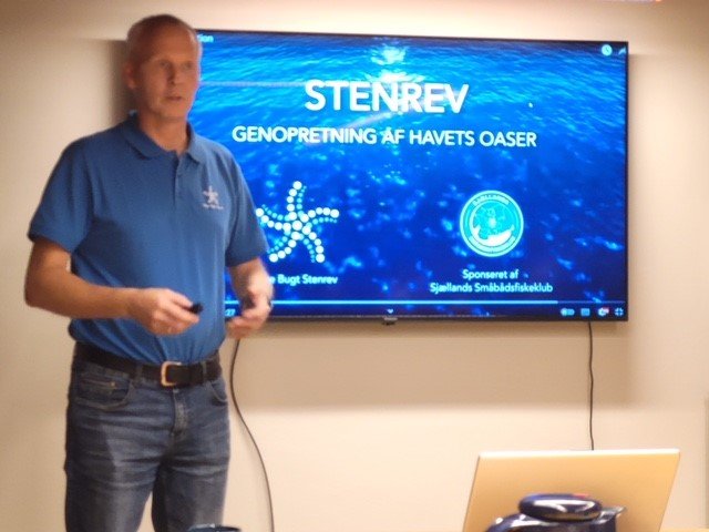 stenrev1.jpg