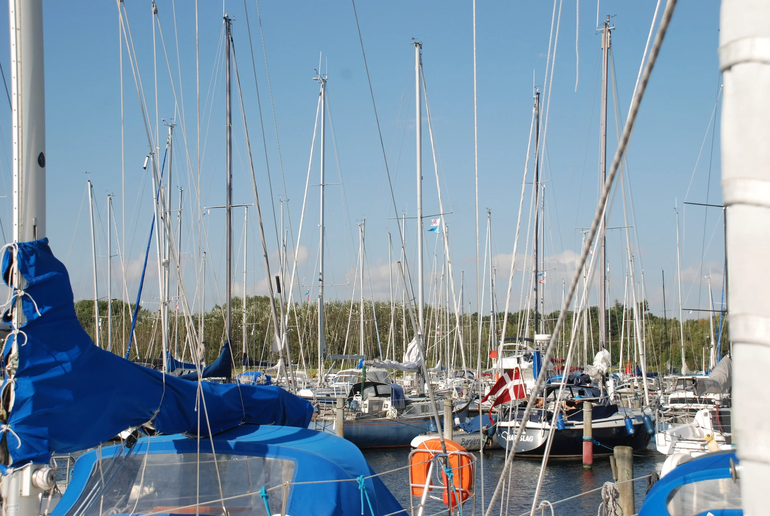 Broer i Greve Marina