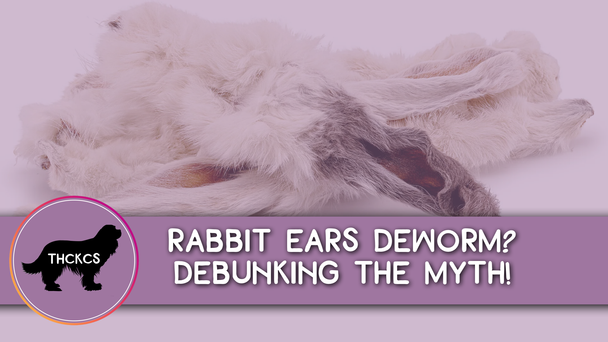 Rabbit Ears Deworm? Debunking the Myth!