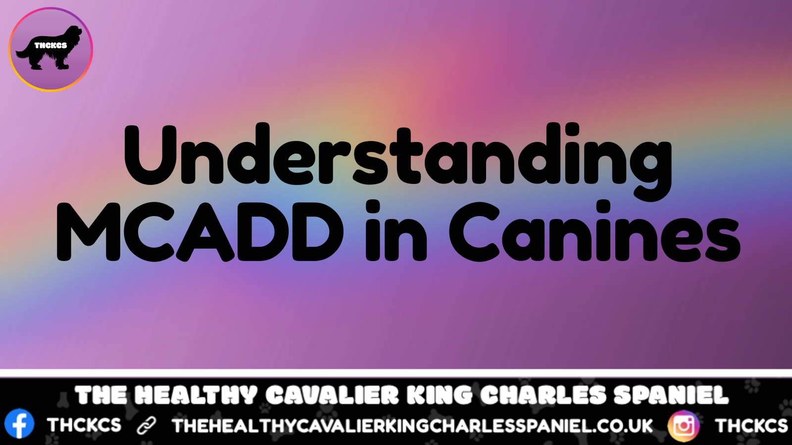 Understanding MCADD in Canines