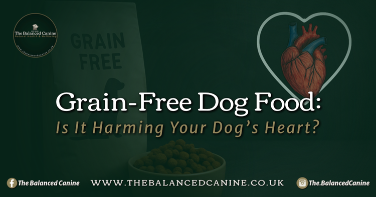 dog dcm l carnitine Metabolomic profiling in dogs with dilated cardiomyopathy eating non-traditional or traditional diets and in healthy controls Taurine Supplement for Dogs with