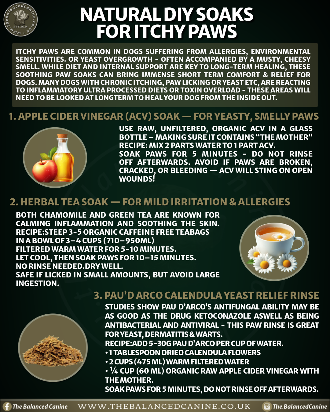 Curated visual reference: Fresh Look at Natural Antihistamines For Dogs Holistic Allergy Relief For Sensitive