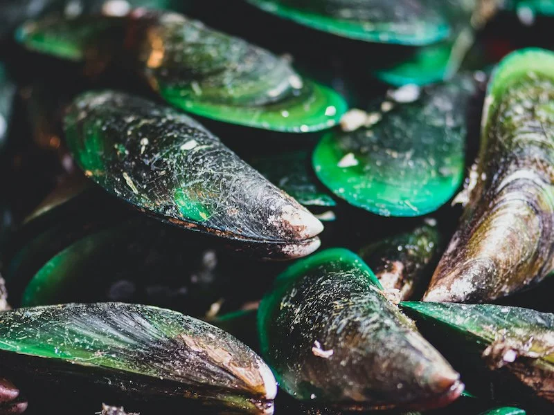 Green Lipped Mussels