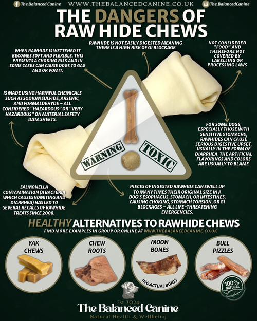 The Balanced Canine team profile image