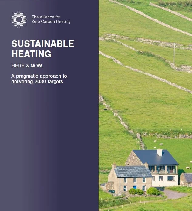 TAZCH report cover.JPG