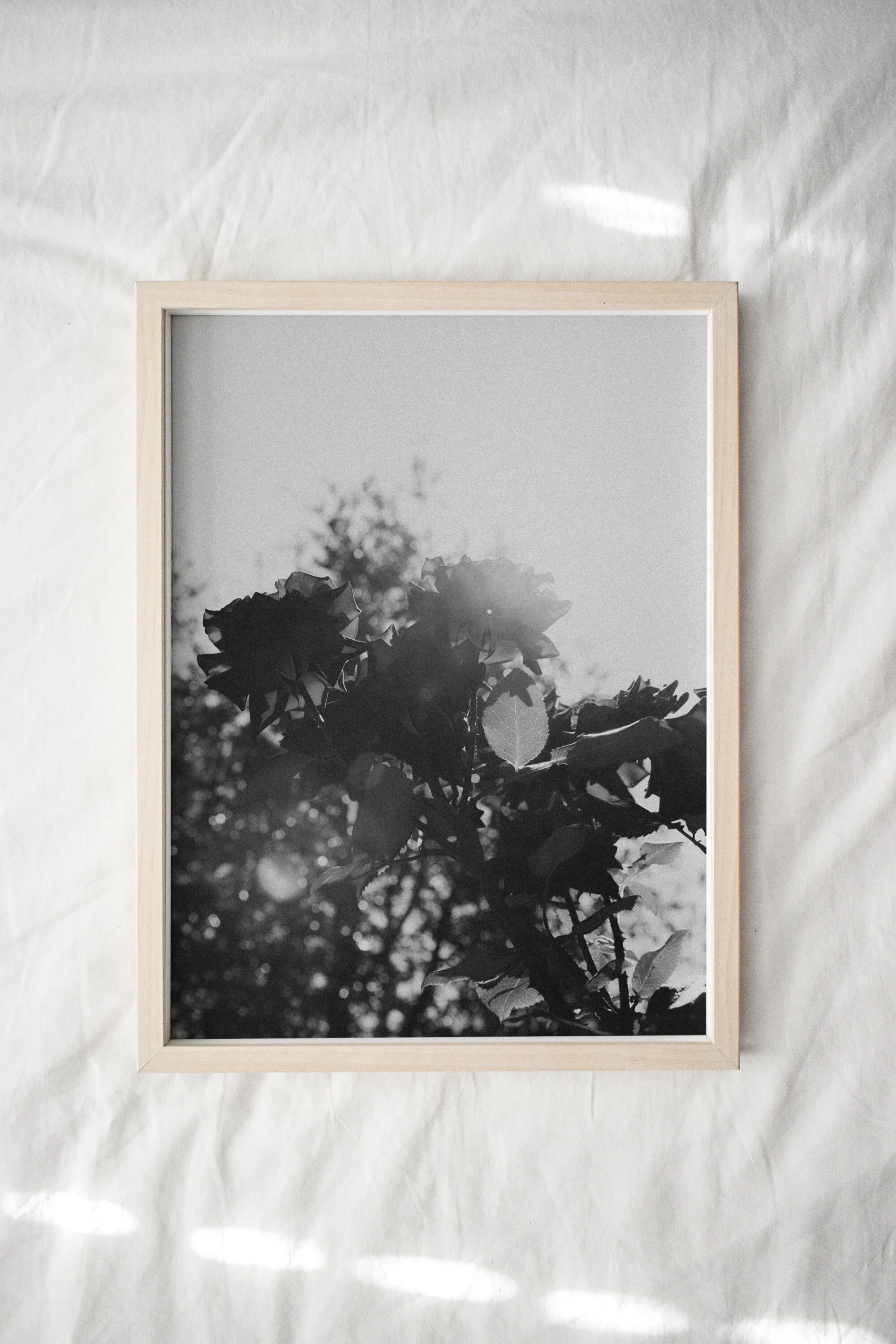 InBloom-ImYours.jpg
