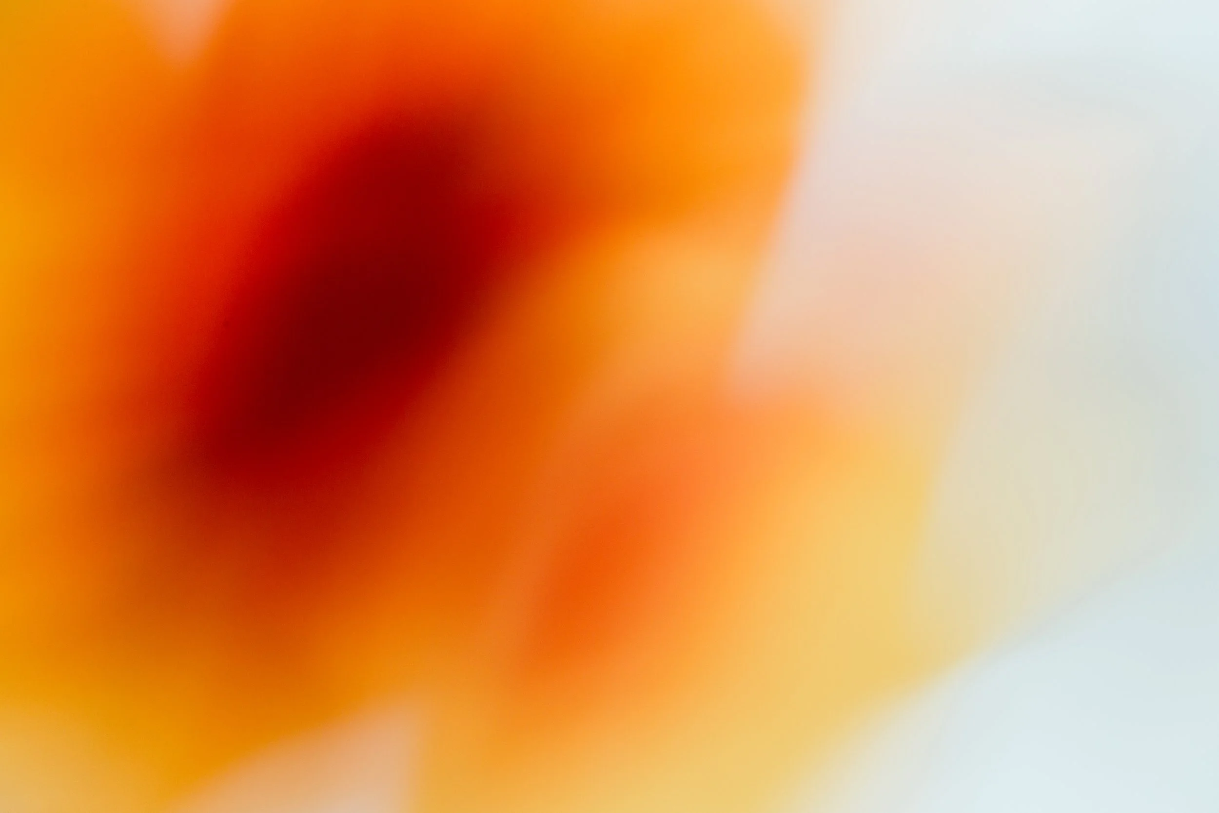 2D1A0981.jpg