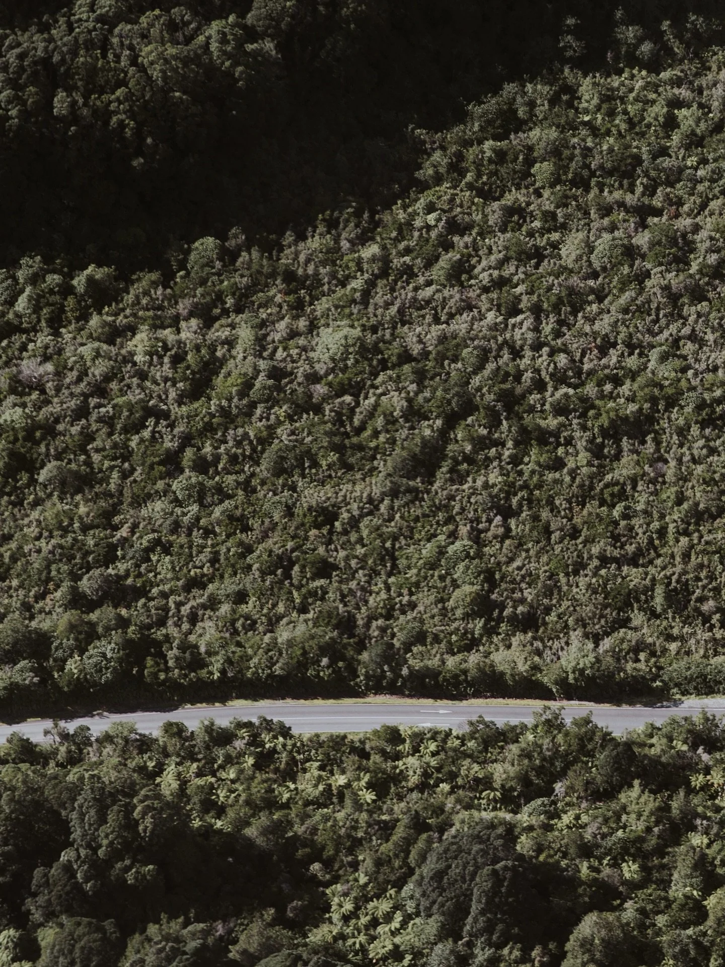 There&rsquo;s something so special about that dense kiwi nature ~