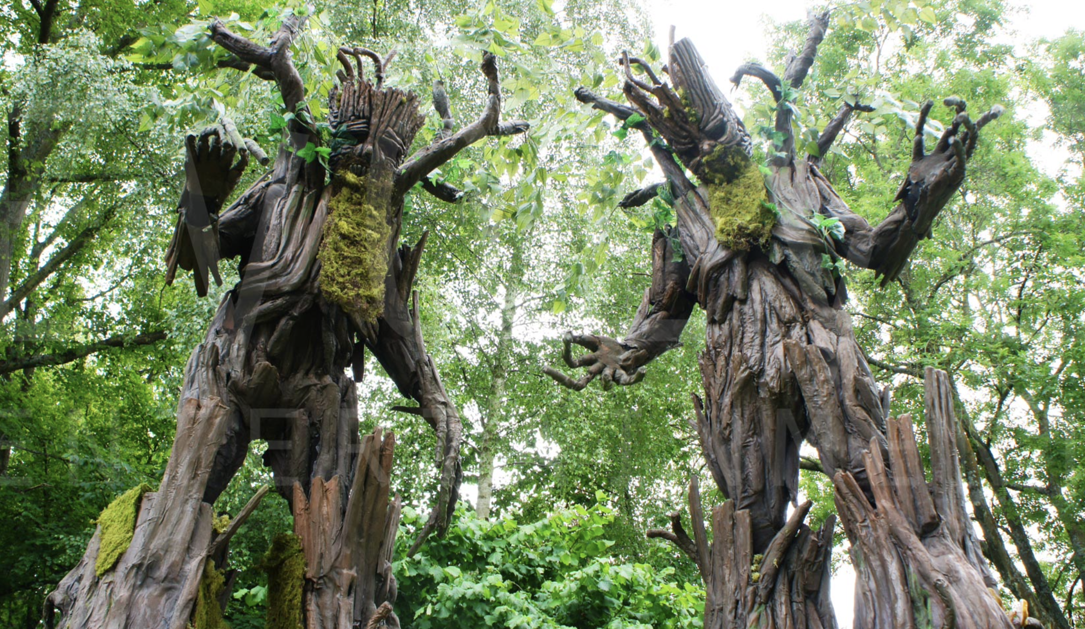 Tree Stilts