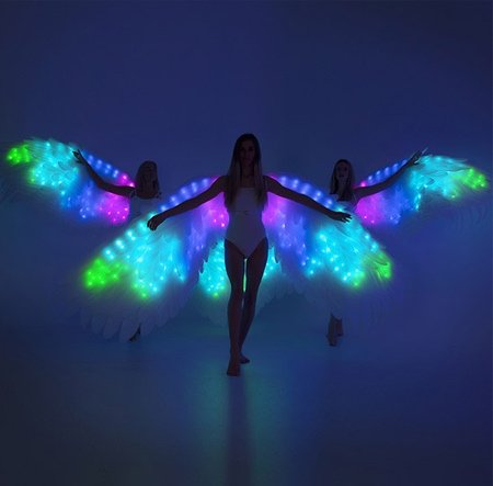 LED Wings