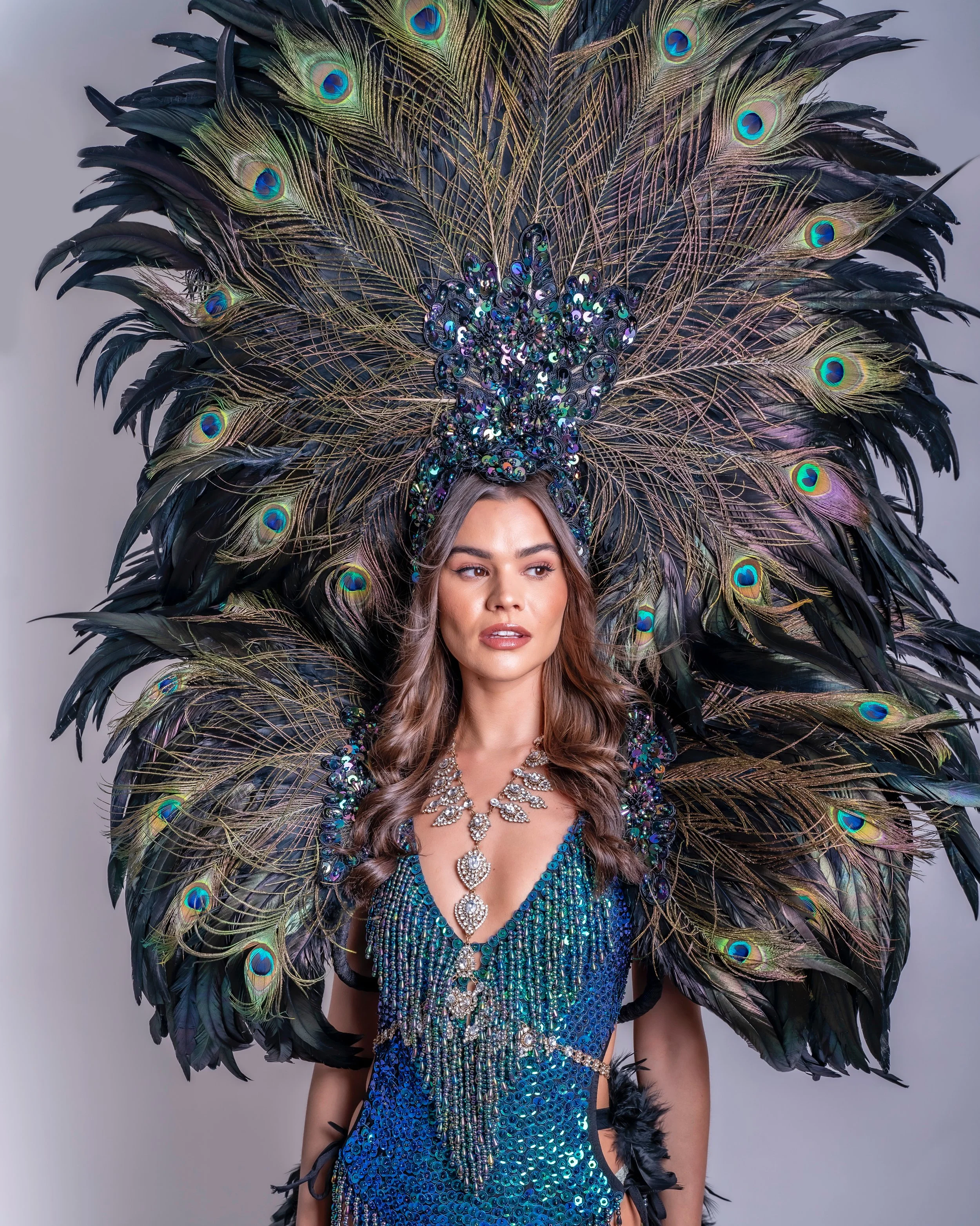 Peacock showgirl