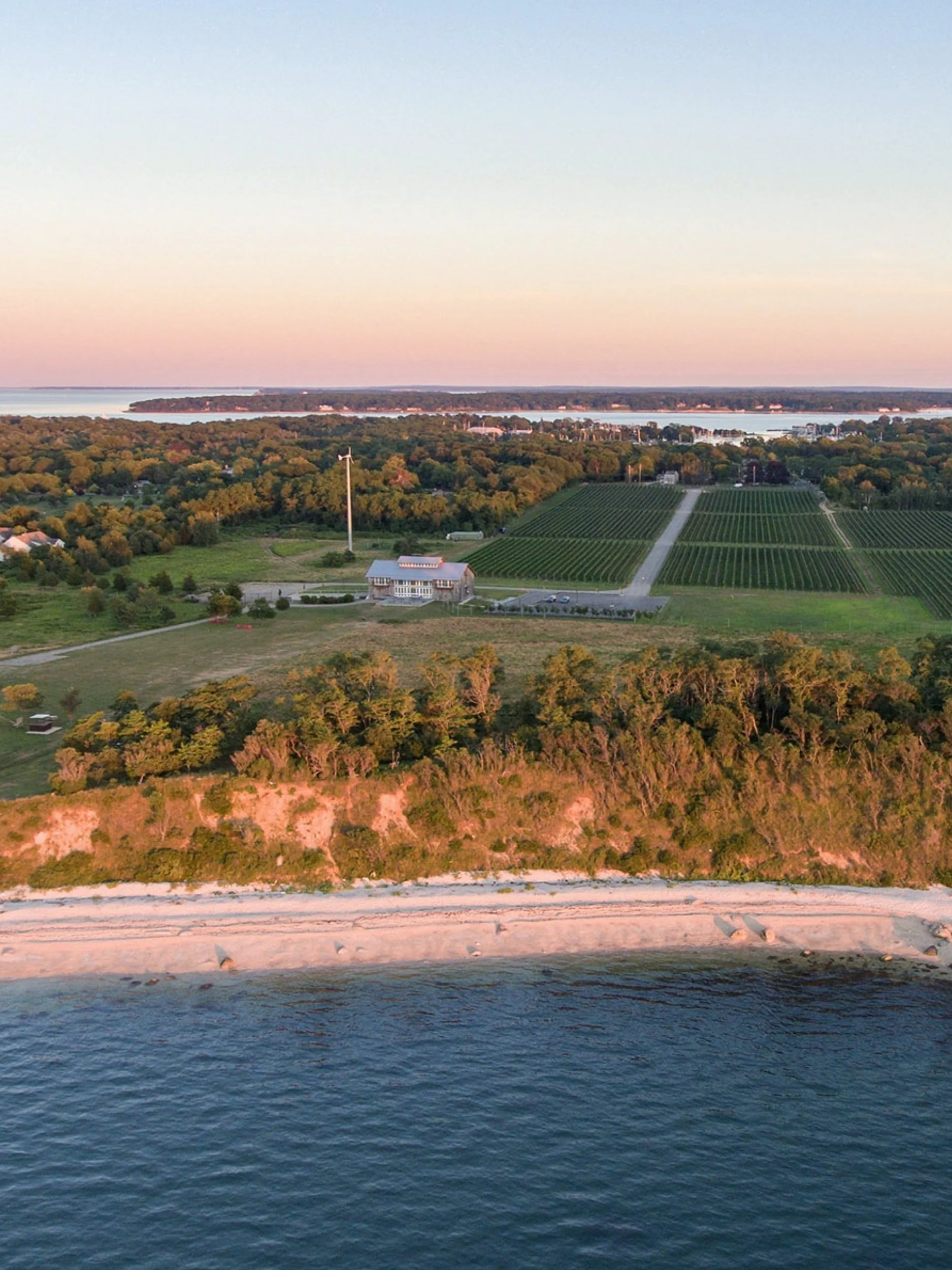 About — The Concerned Taxpayers