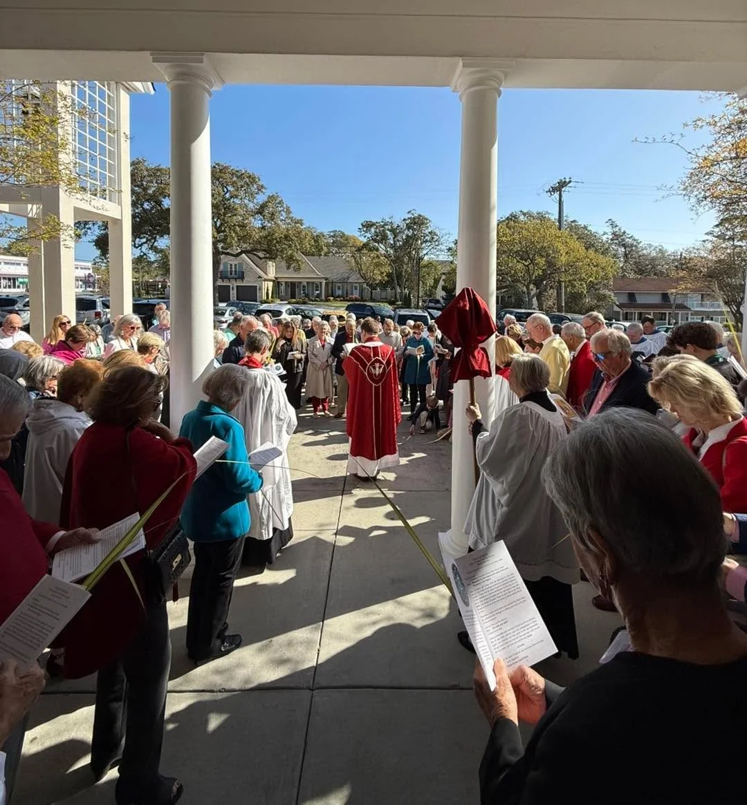 A blessed beginning of Holy Week to all! Blessed is He who comes in the name of the Lord! #palmsunday theanglicandioceseofsc
