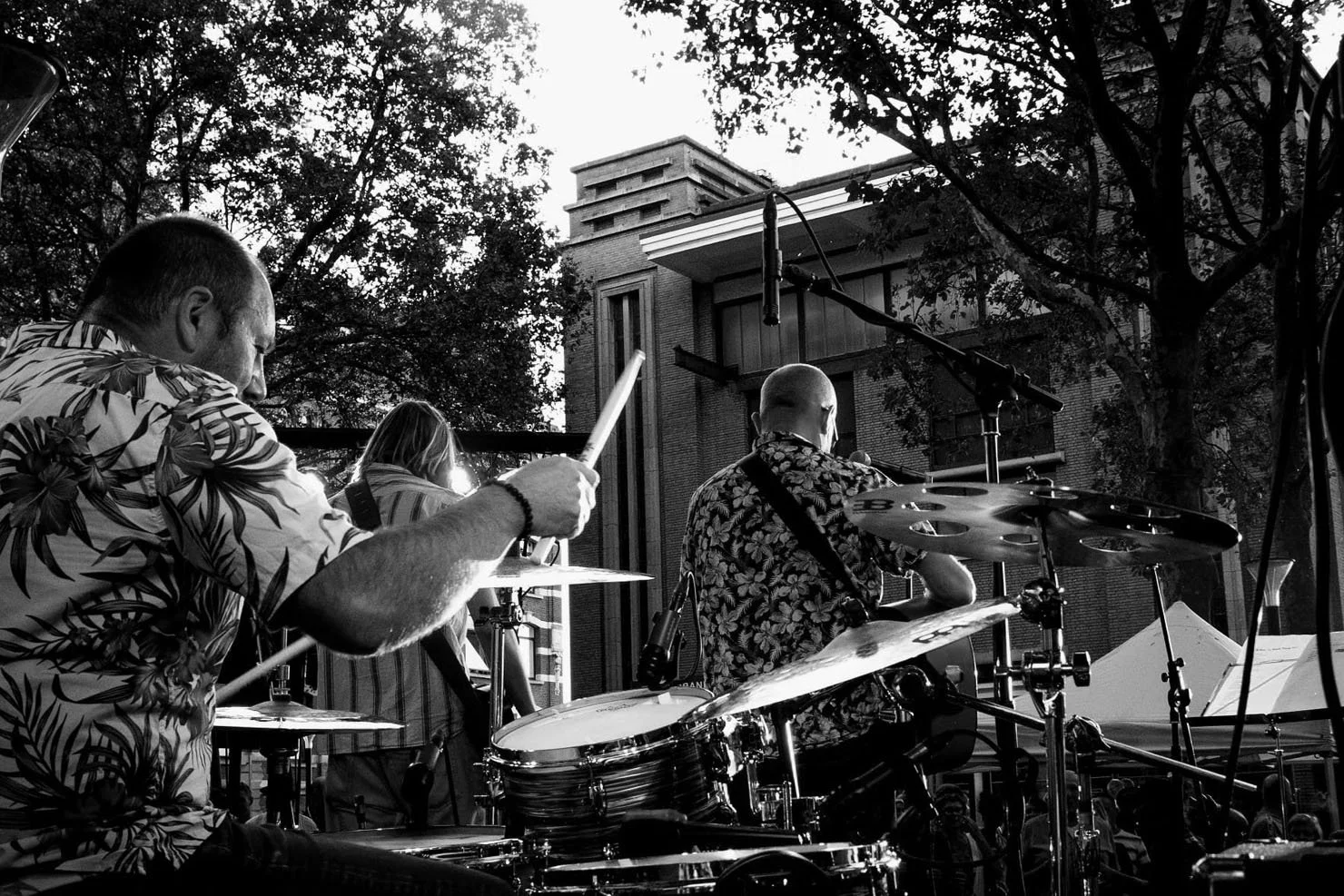 Mensen die een band vormen en muziek maken tijdens een live optreden, met bomen en een gebouw op de achtergrond.