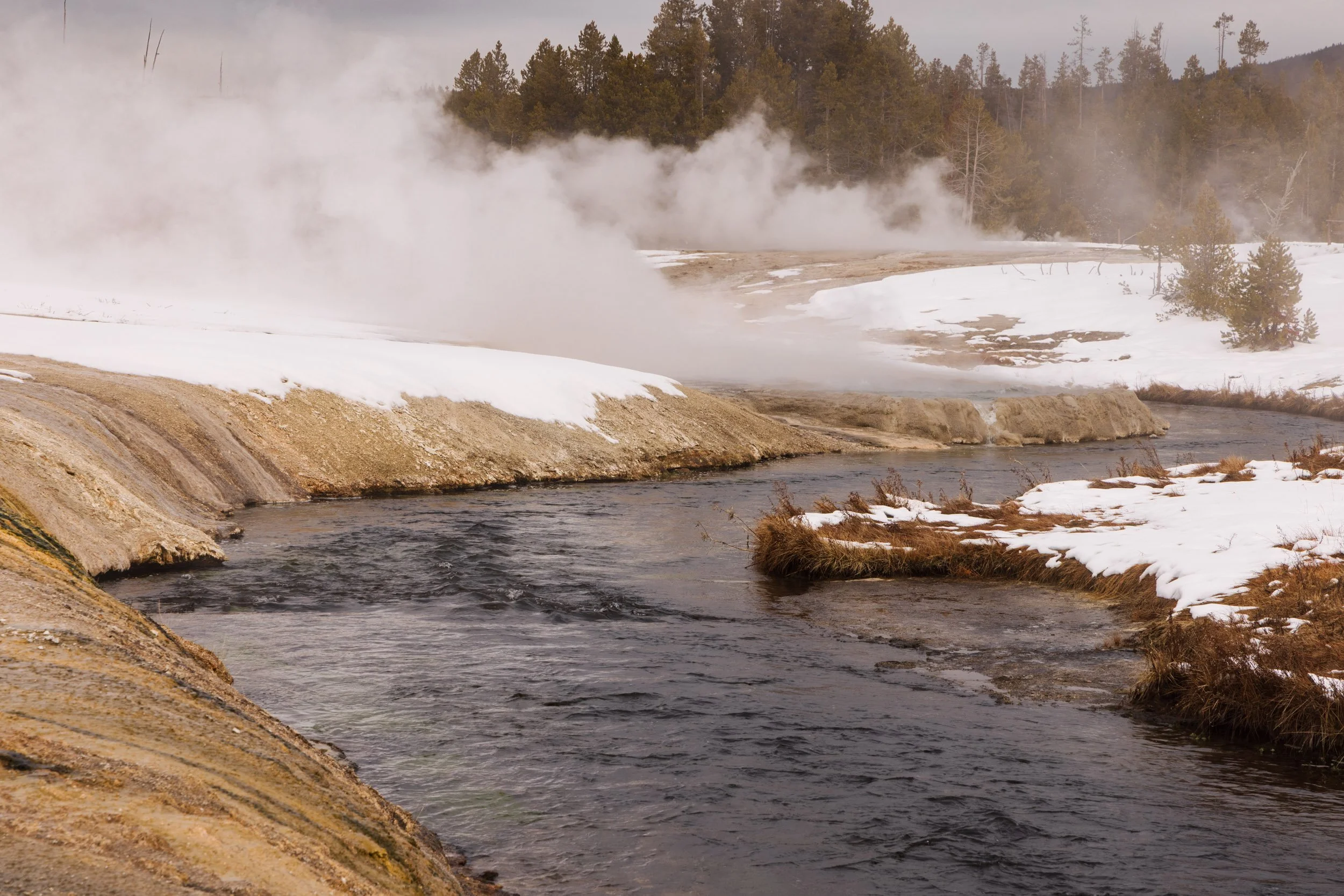 Yellowstone-0126-31.jpg