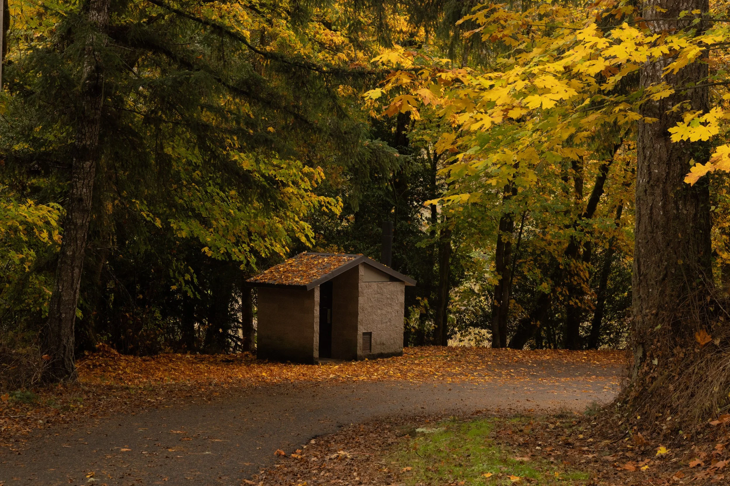 Shore Acres-1125-17.jpg