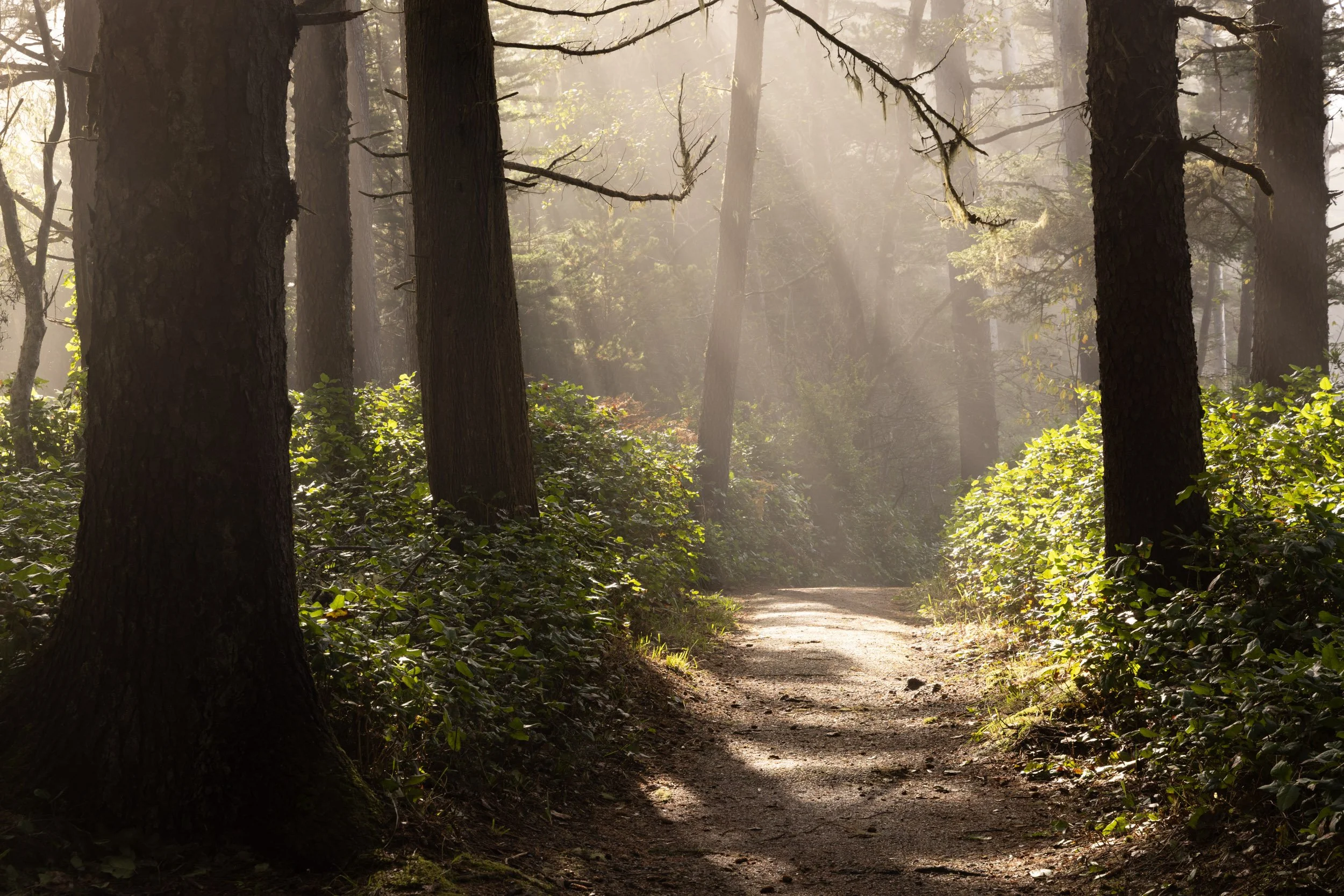 Shore Acres-1125-2.jpg