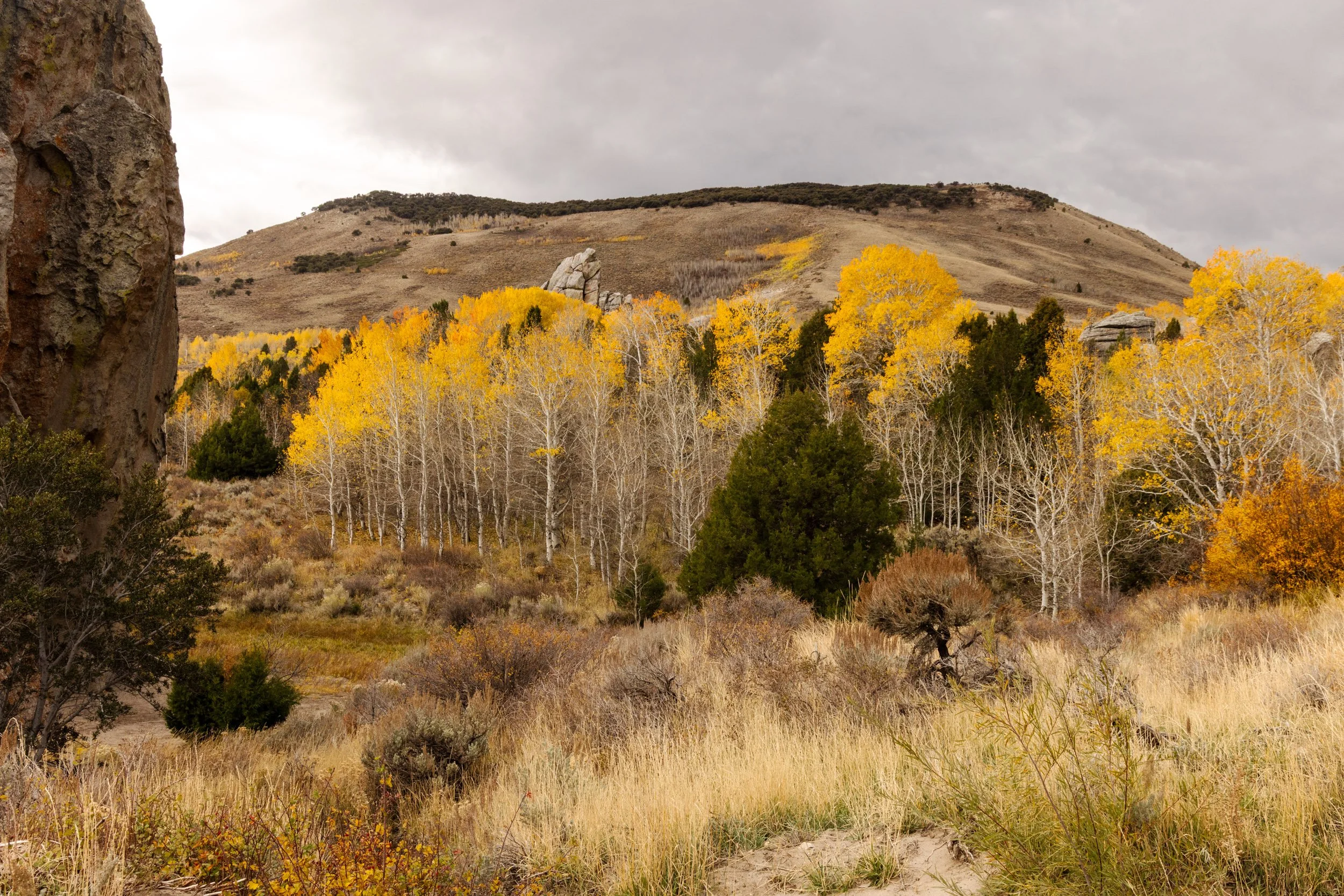 City Of Rocks 2025-12.jpg