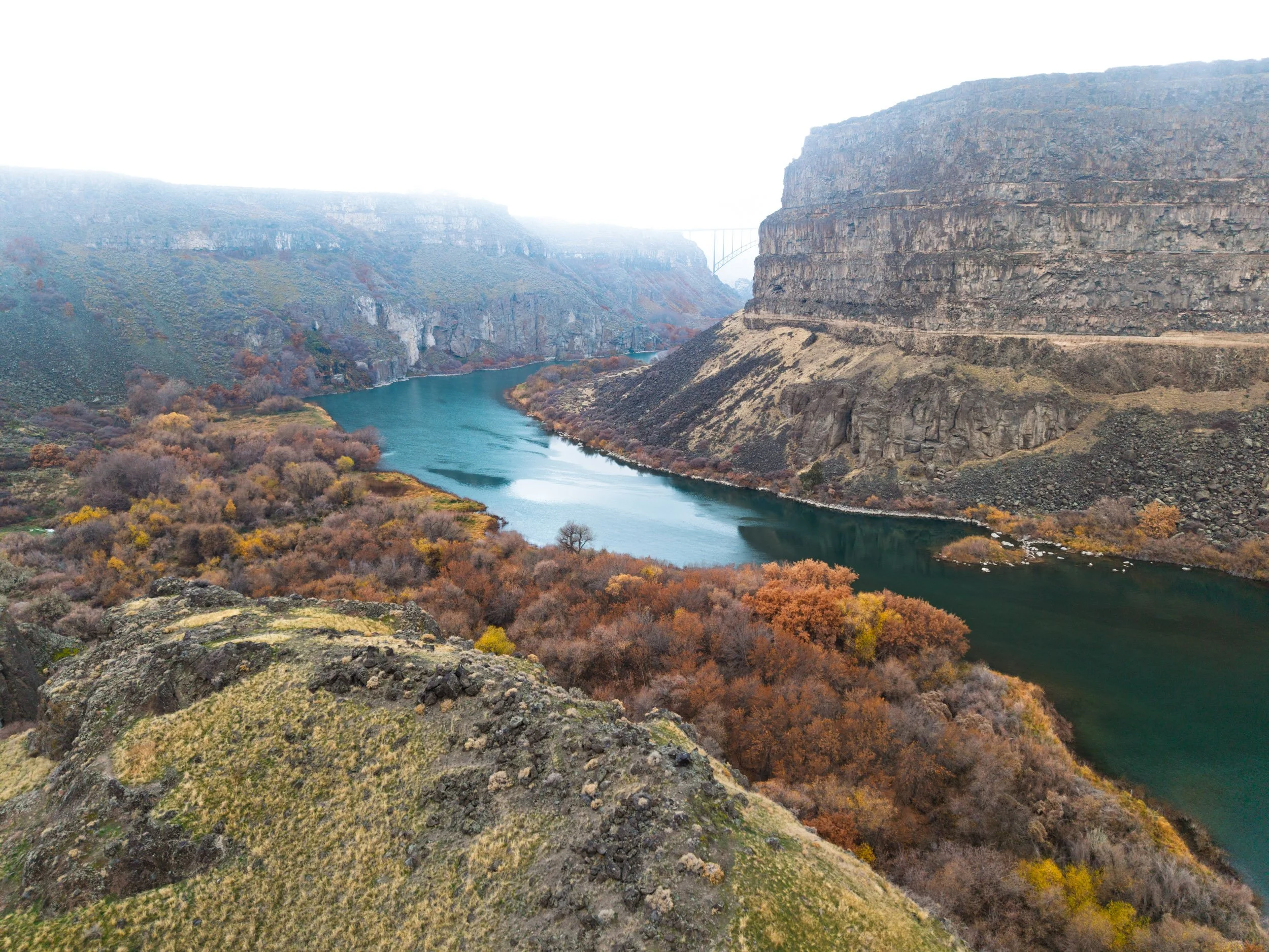 Canyon Fog 2025-2.jpg