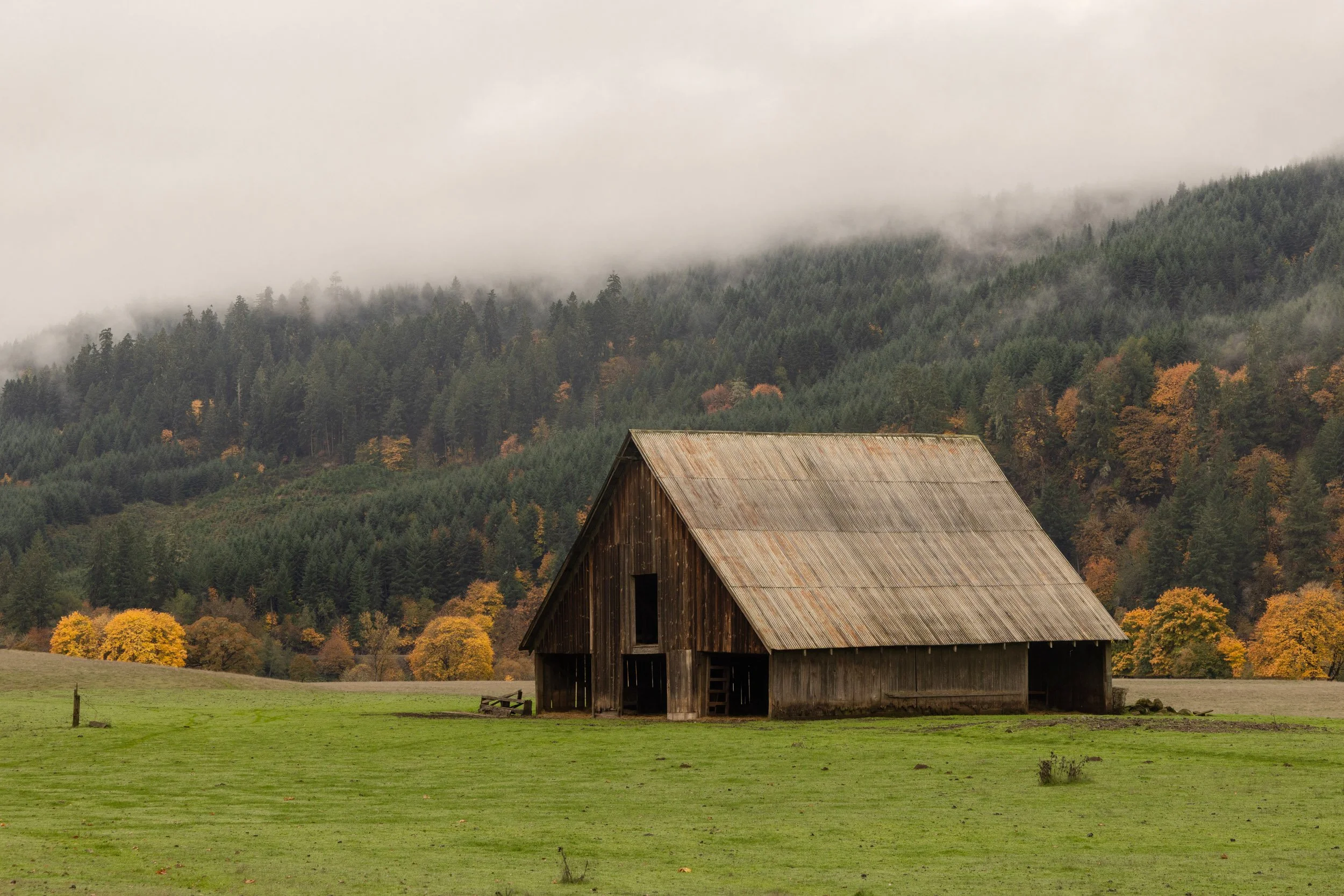 Shore Acres-1125-16.jpg