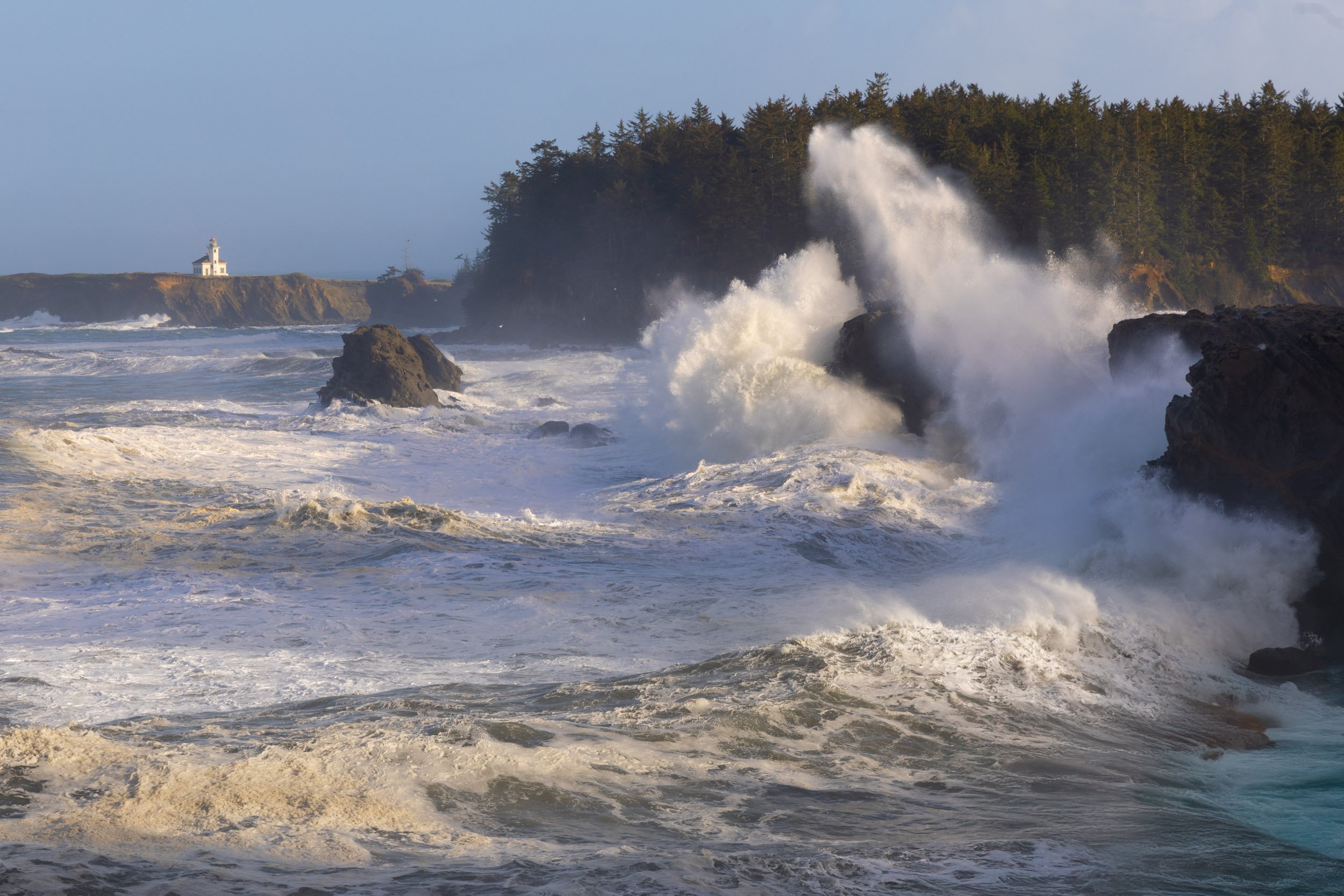 Shore Acres-1125-9.jpg