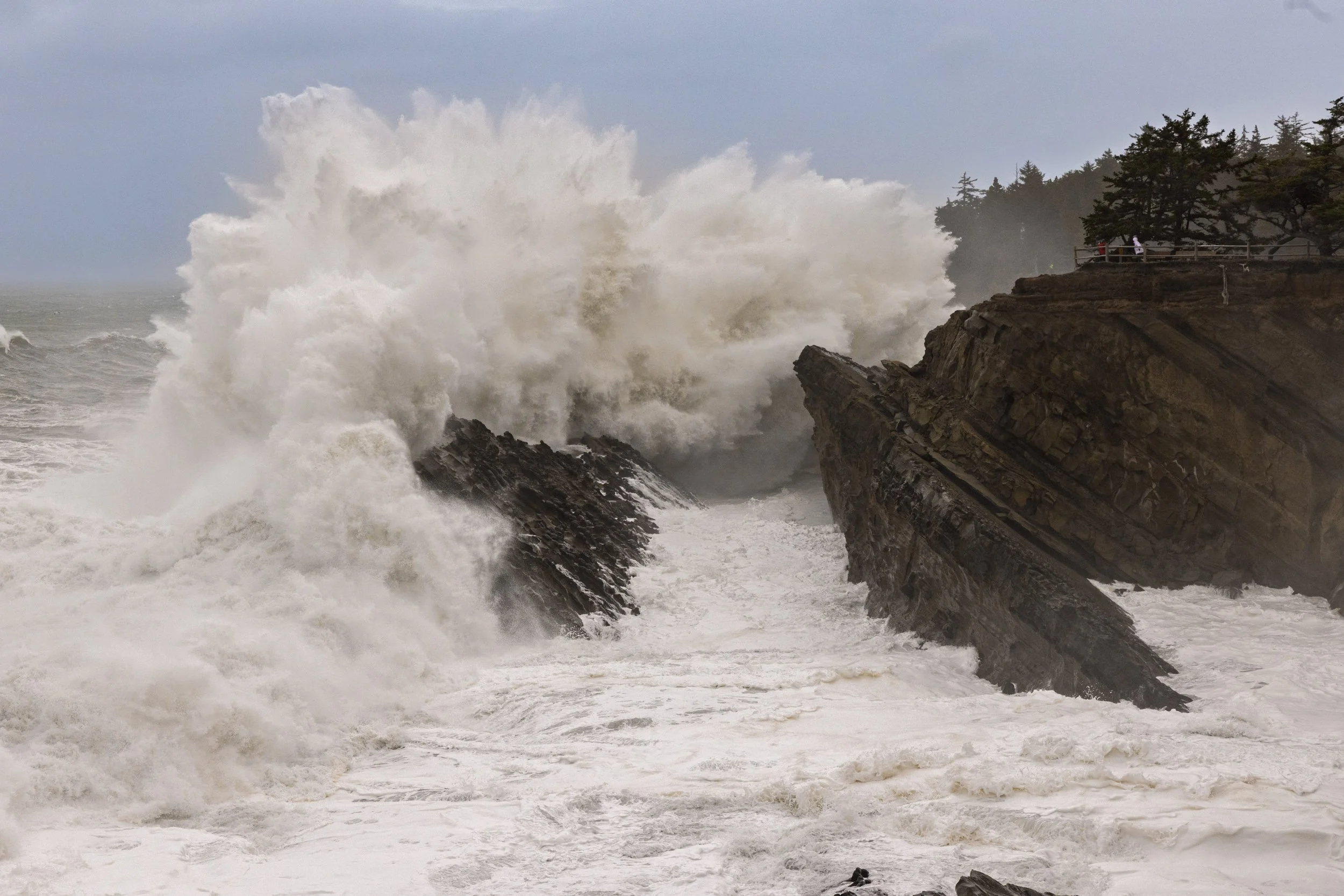 Shore Acres-1125-7.jpg