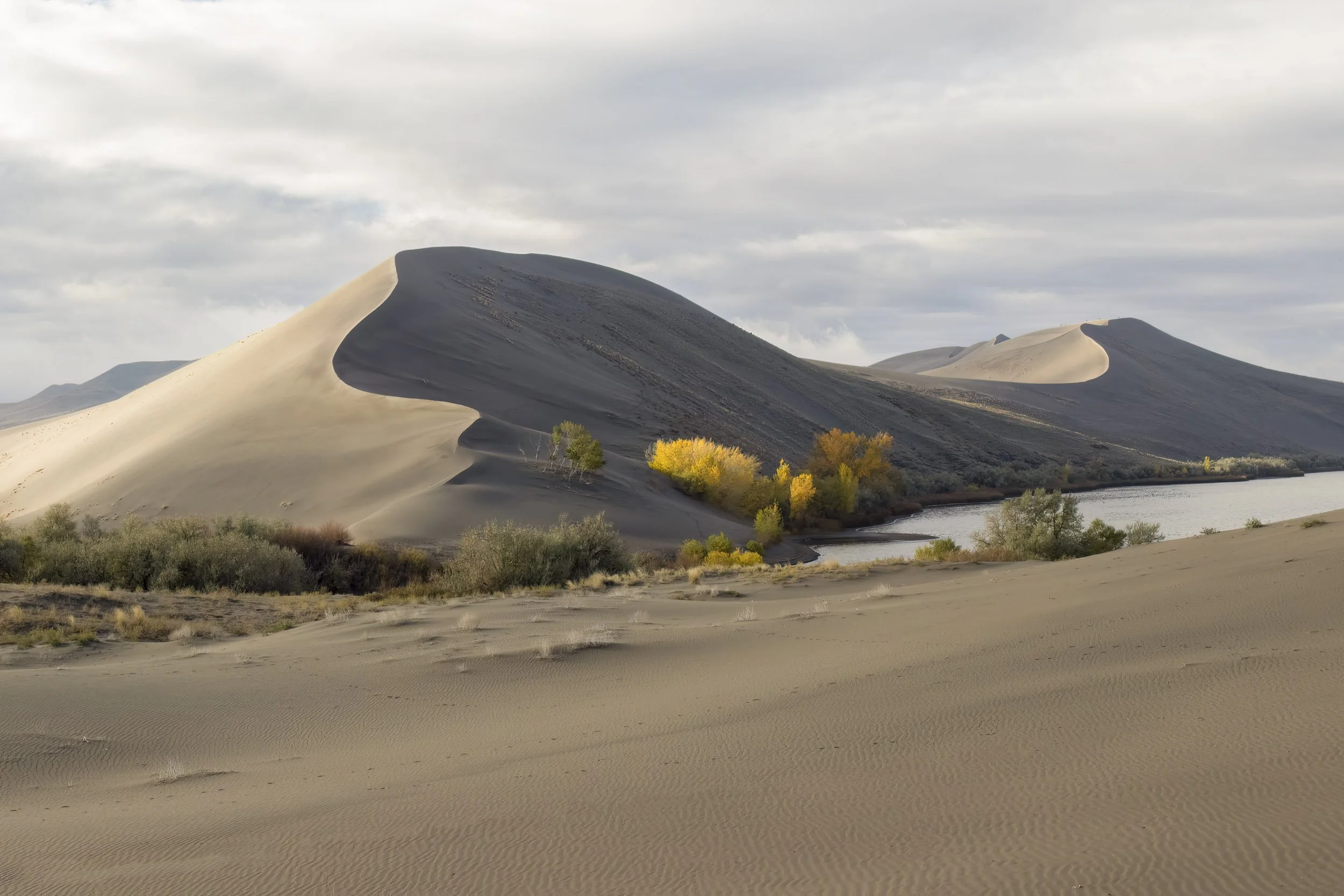 Mike Dixon Silent Wanderer Bruneau Sand Dunes-9254.jpg