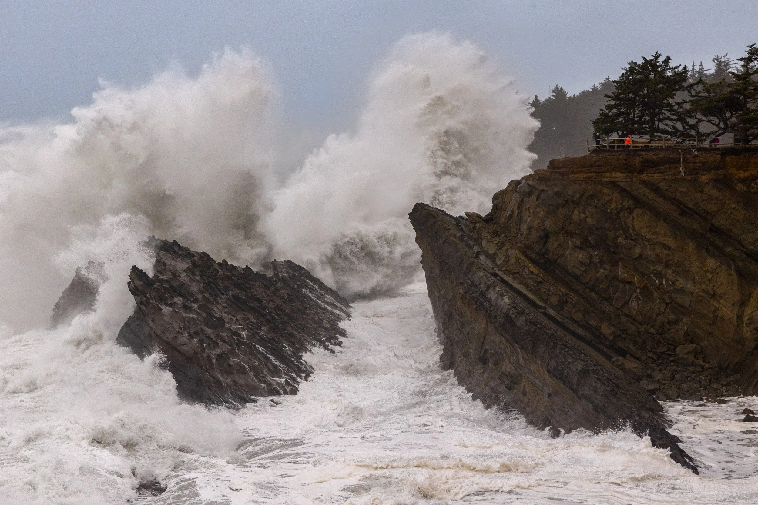 Shore Acres-1125-5.jpg