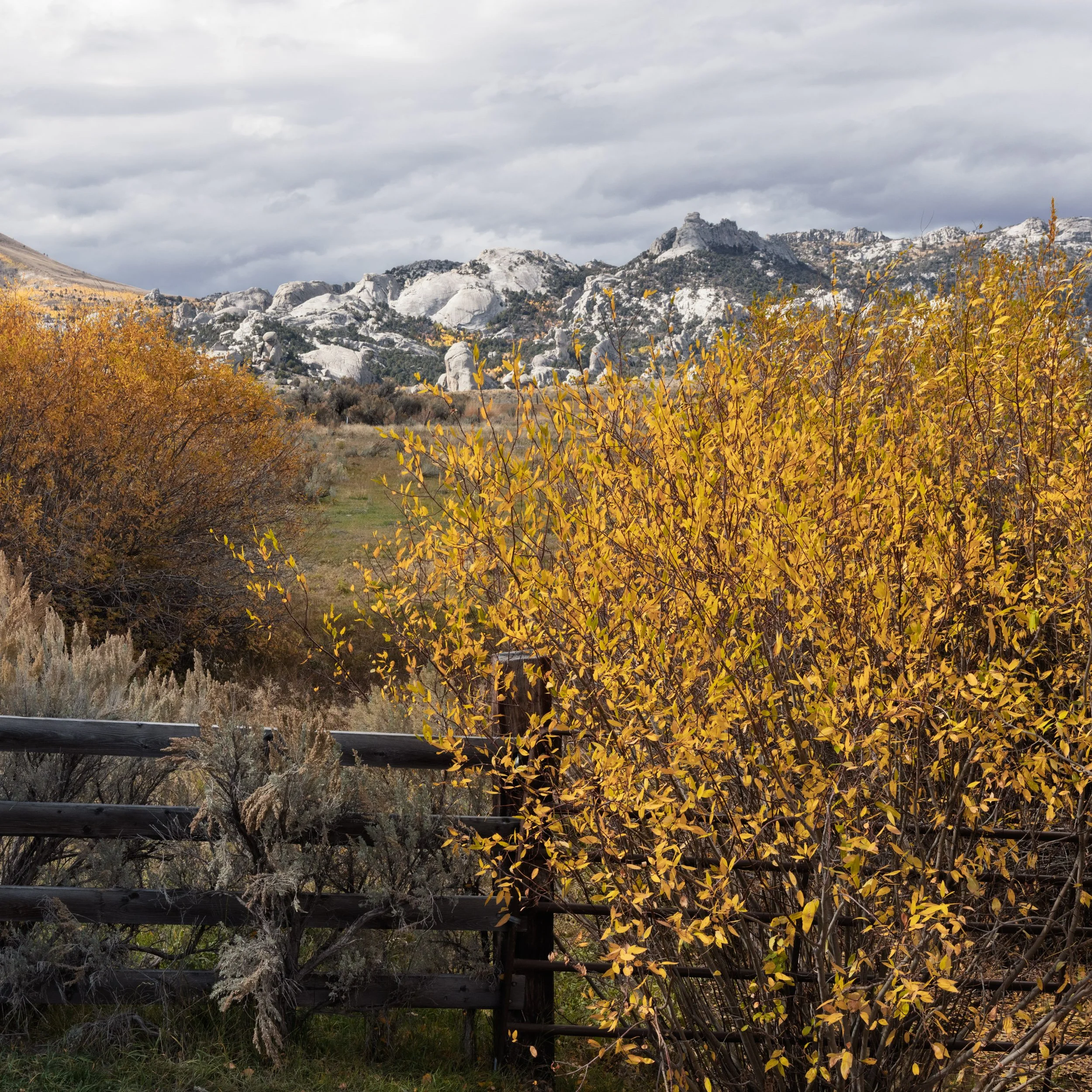 City Of Rocks 2025-04.jpg