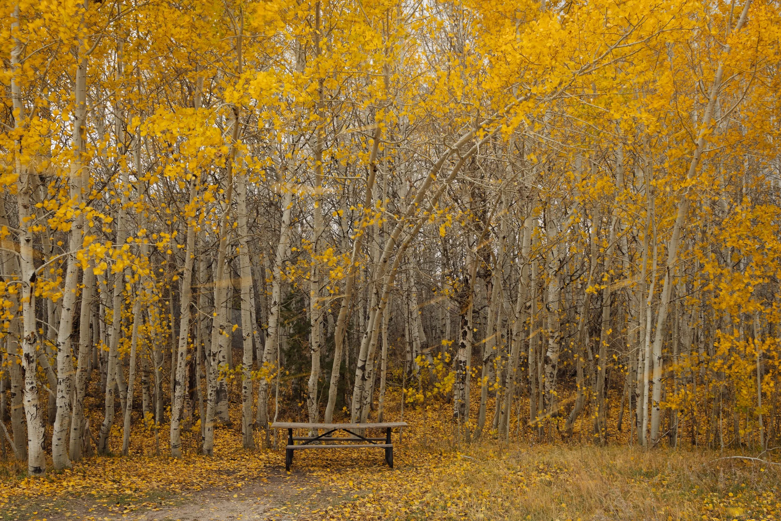 City Of Rocks 2025-15.jpg