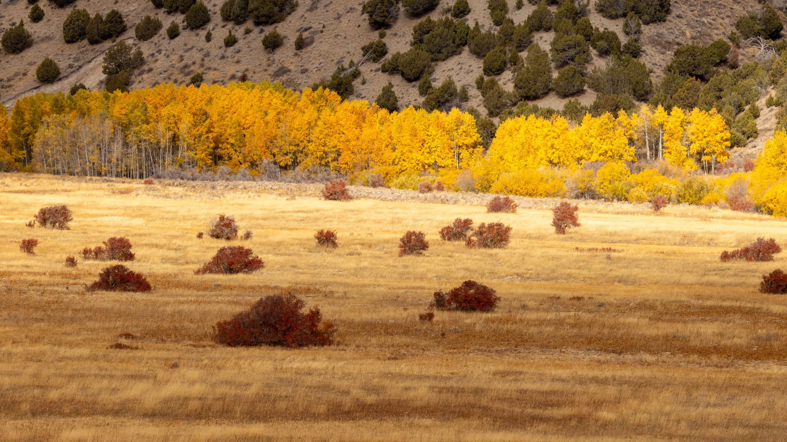 City Of Rocks 2025-02.jpg