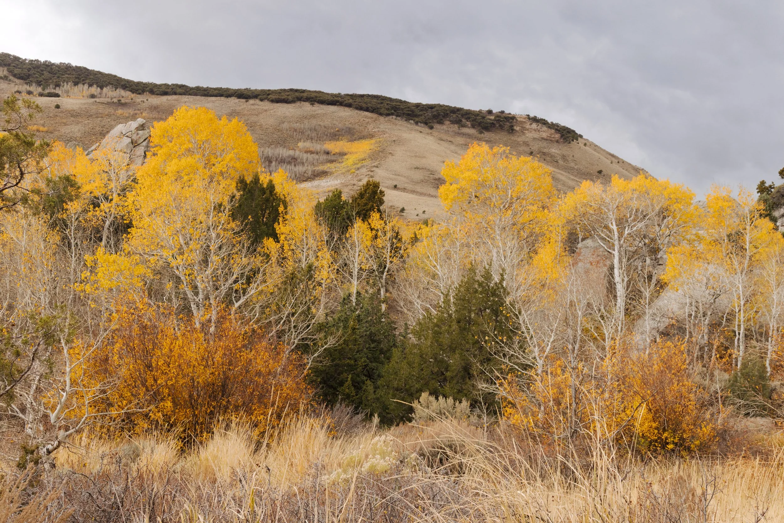 City Of Rocks 2025-13.jpg