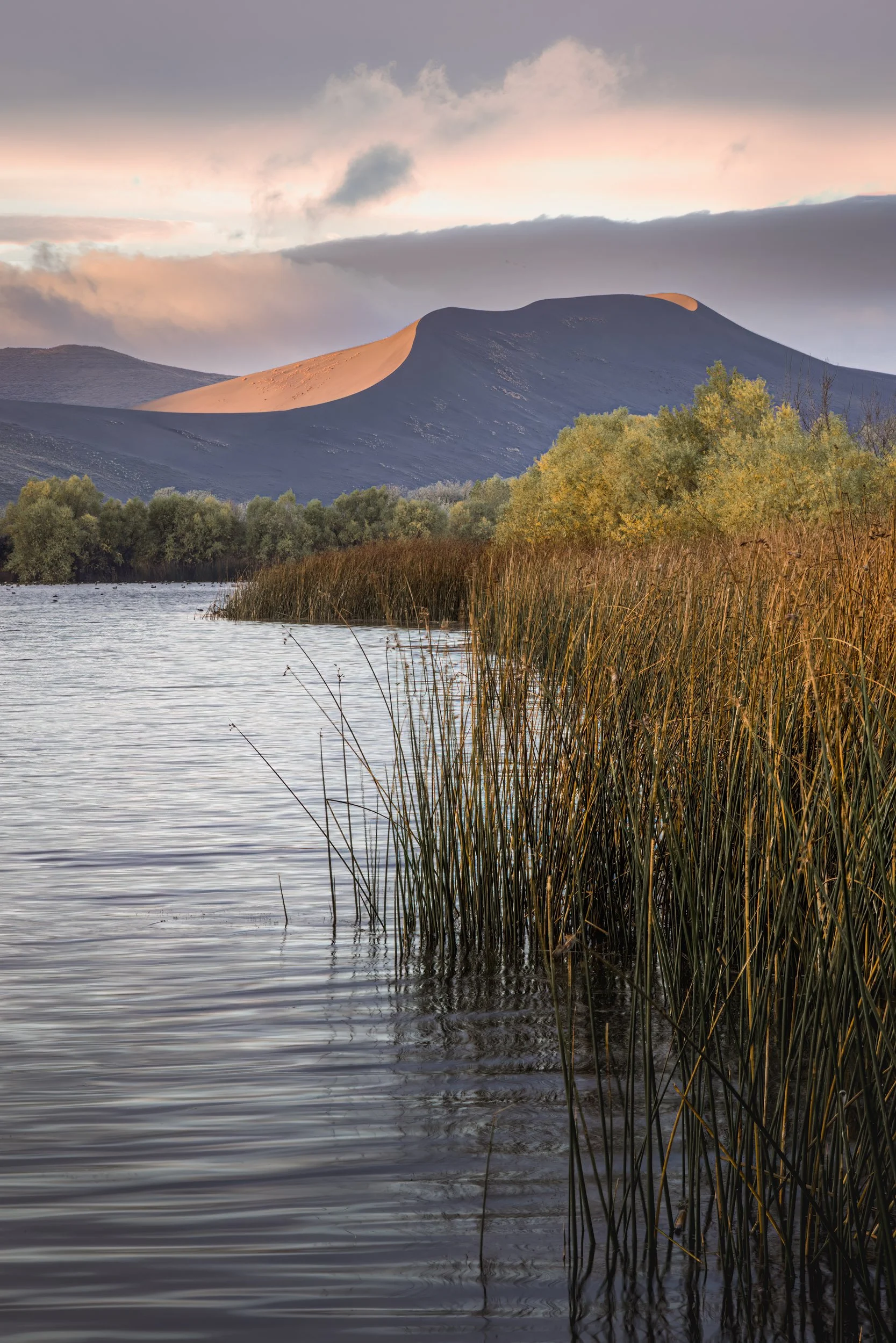 Mike Dixon Silent Wanderer Bruneau Sand Dunes-9095.jpg