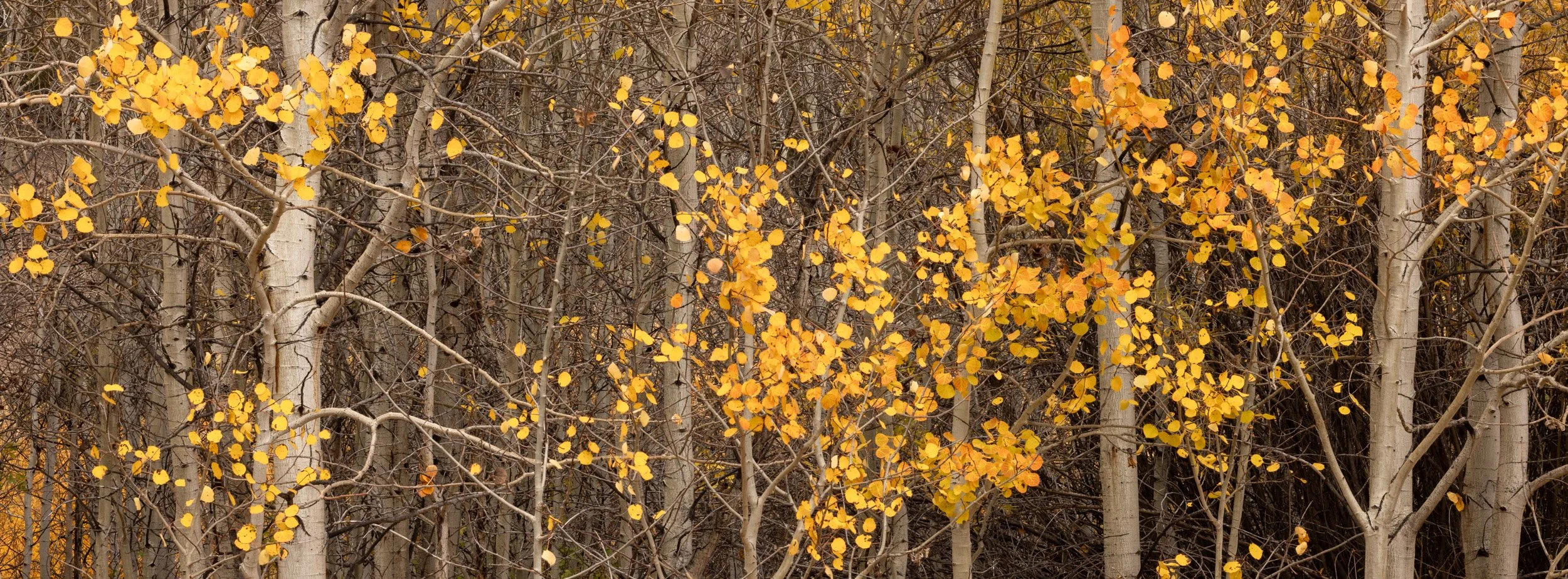 City Of Rocks 2025-01.jpg