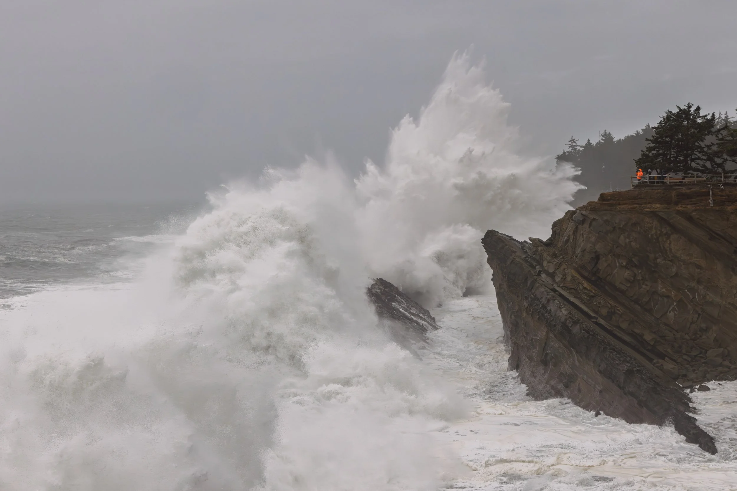 Shore Acres-1125-6.jpg