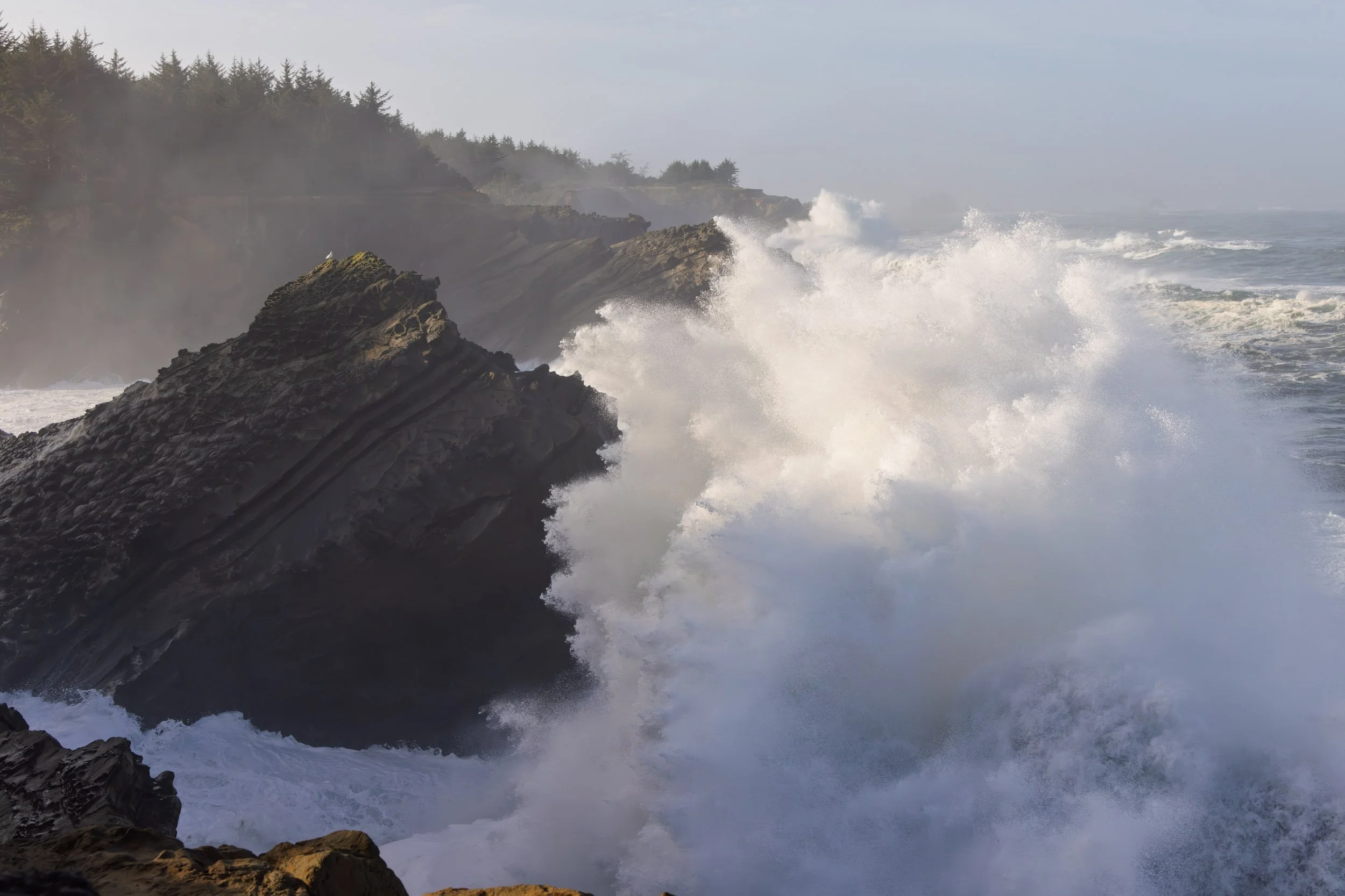 Shore Acres-1125-10.jpg