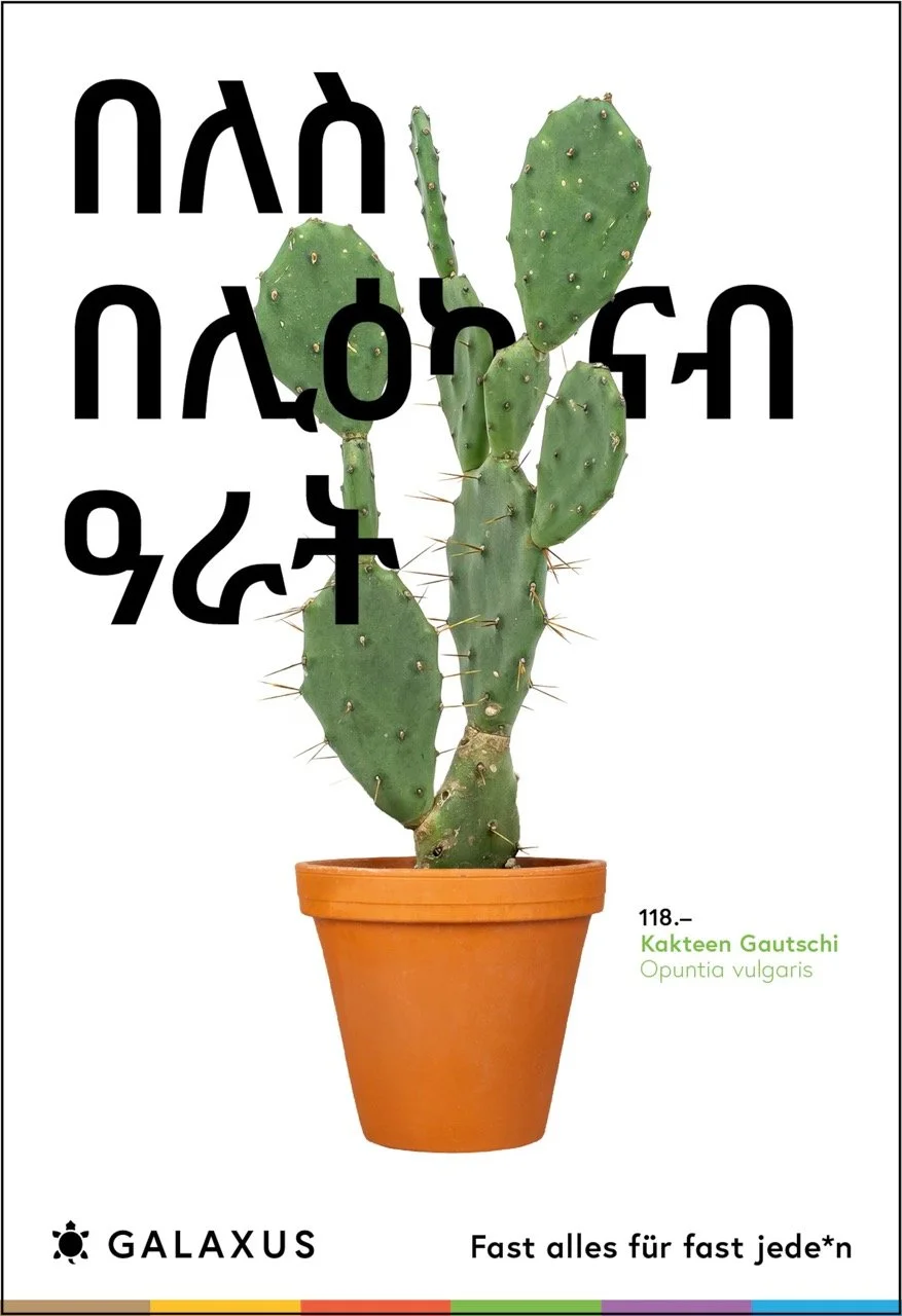 Groß (434028_240x350_d_CO51_GAX_OOH_F200_NP_Eritrea).jpeg