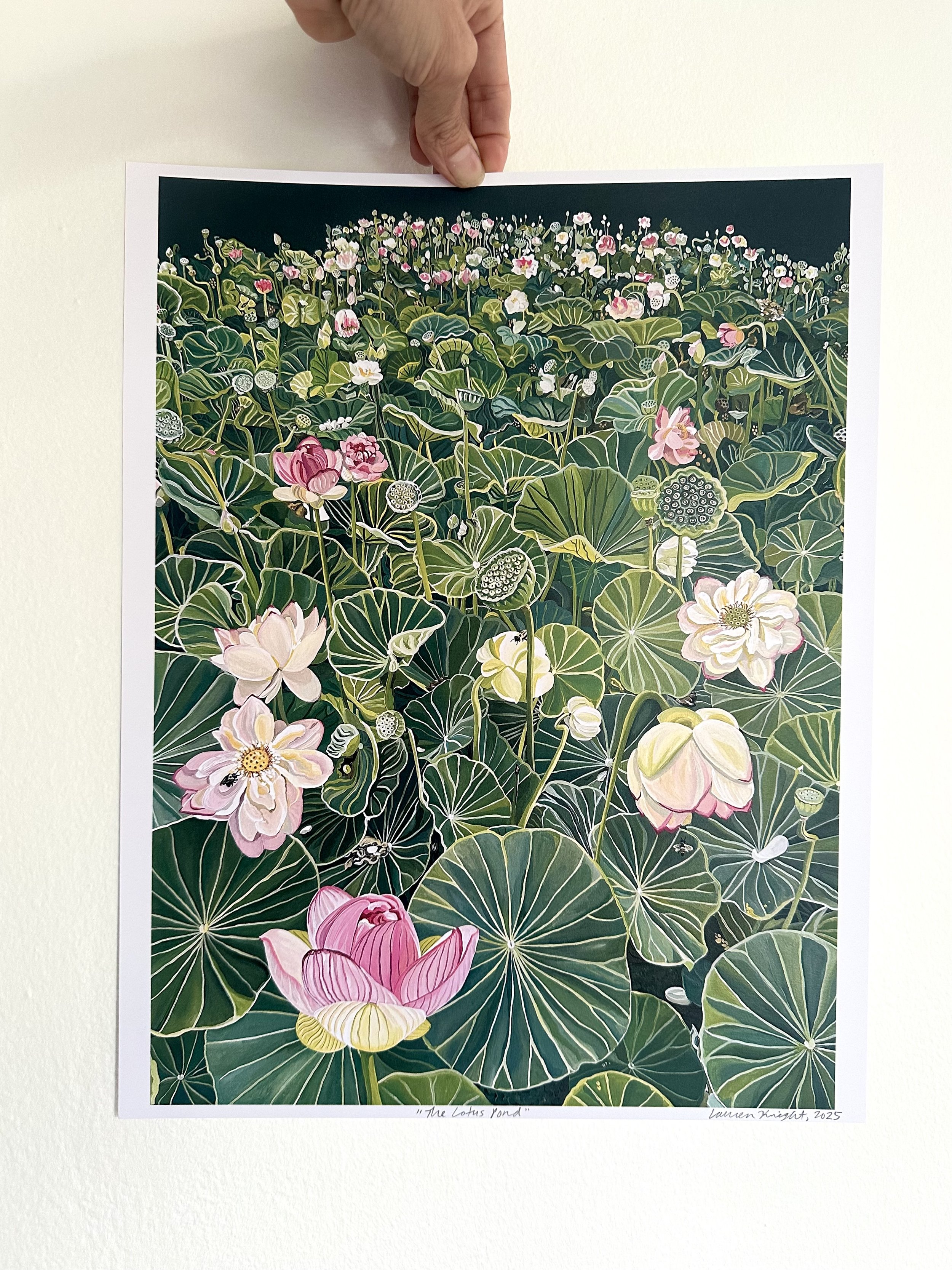 The Lotus Pond Fine Art Print