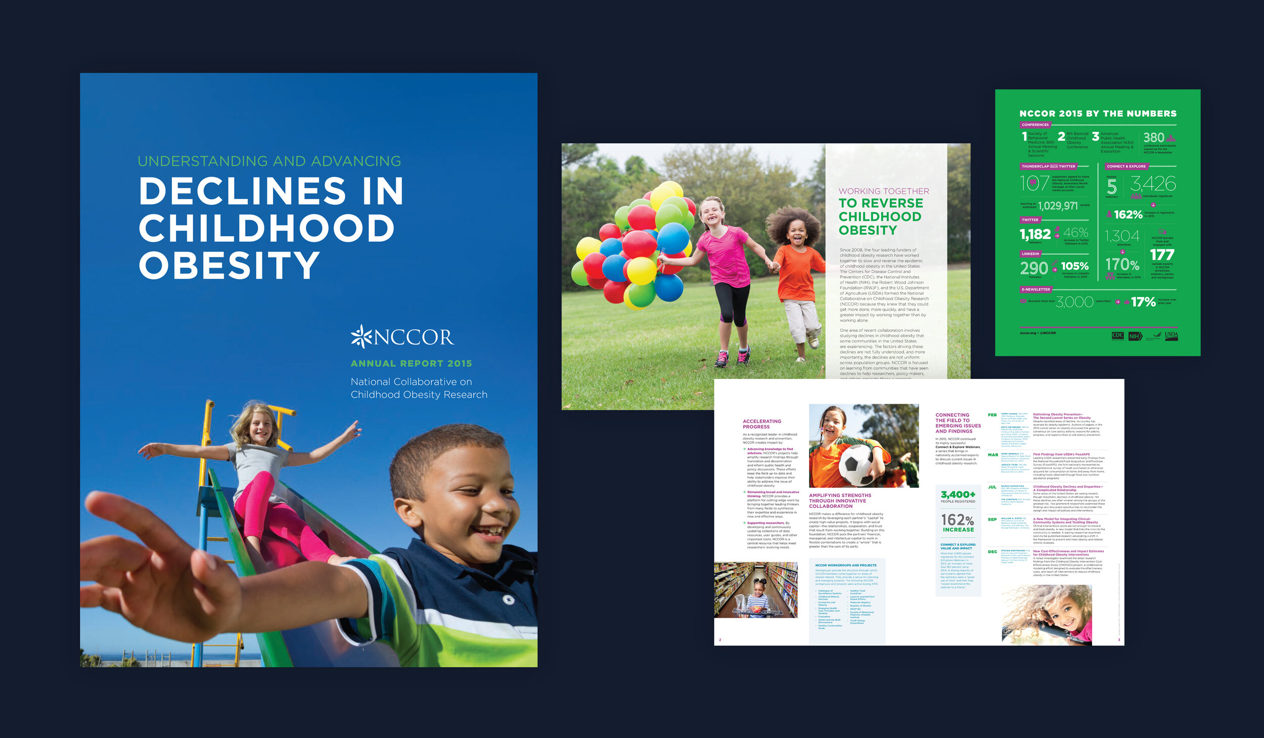 2015 NCCOR Annual Report