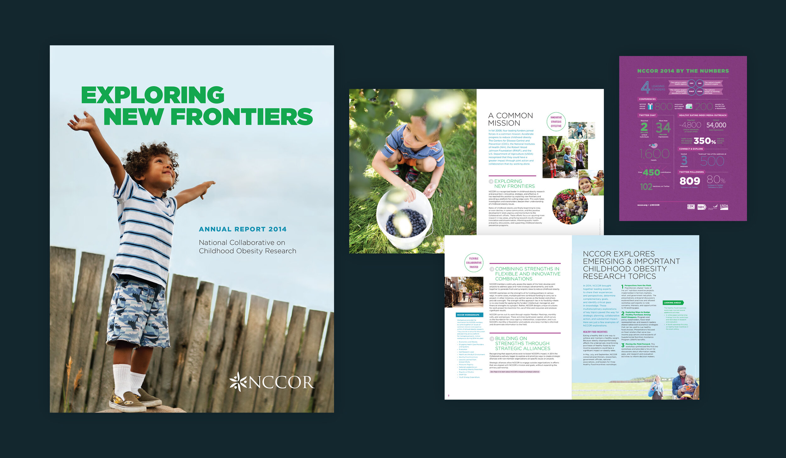 2014 NCCOR Annual Report