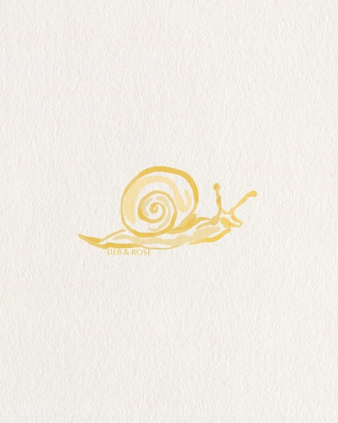 slow and steady