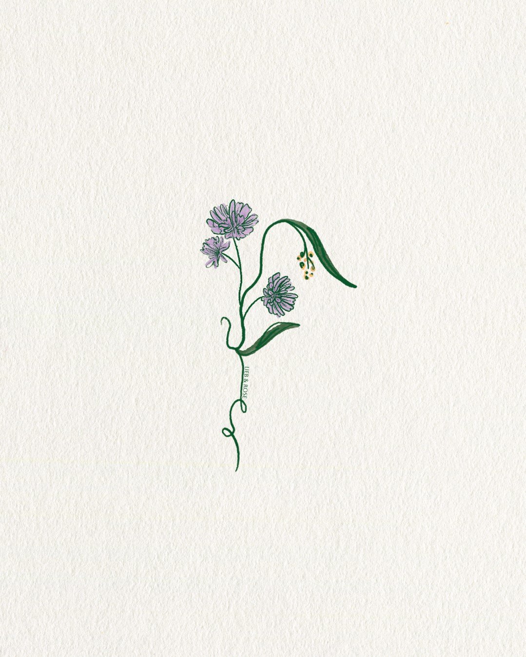 spring flowers (finally)