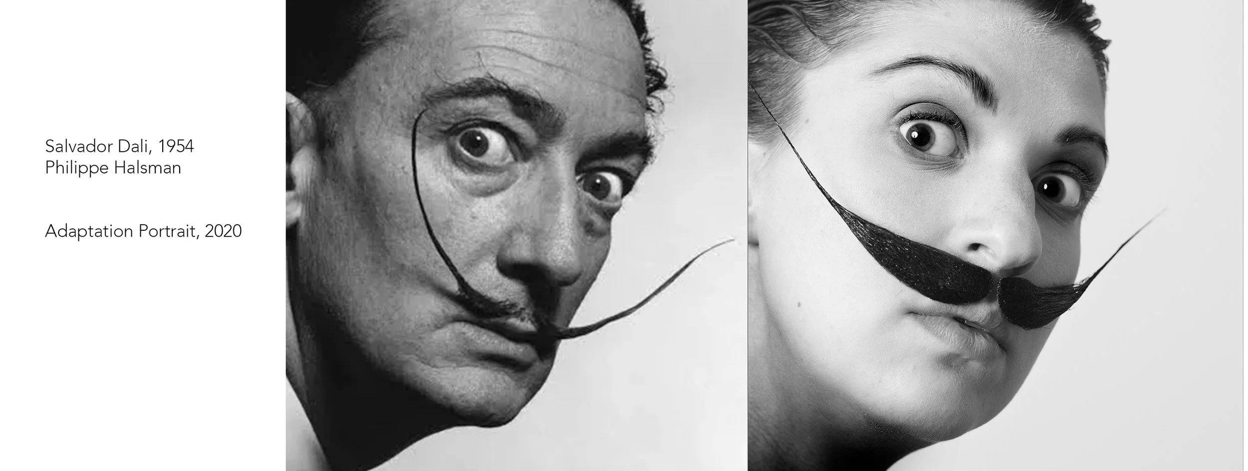 dali for website copy.jpg