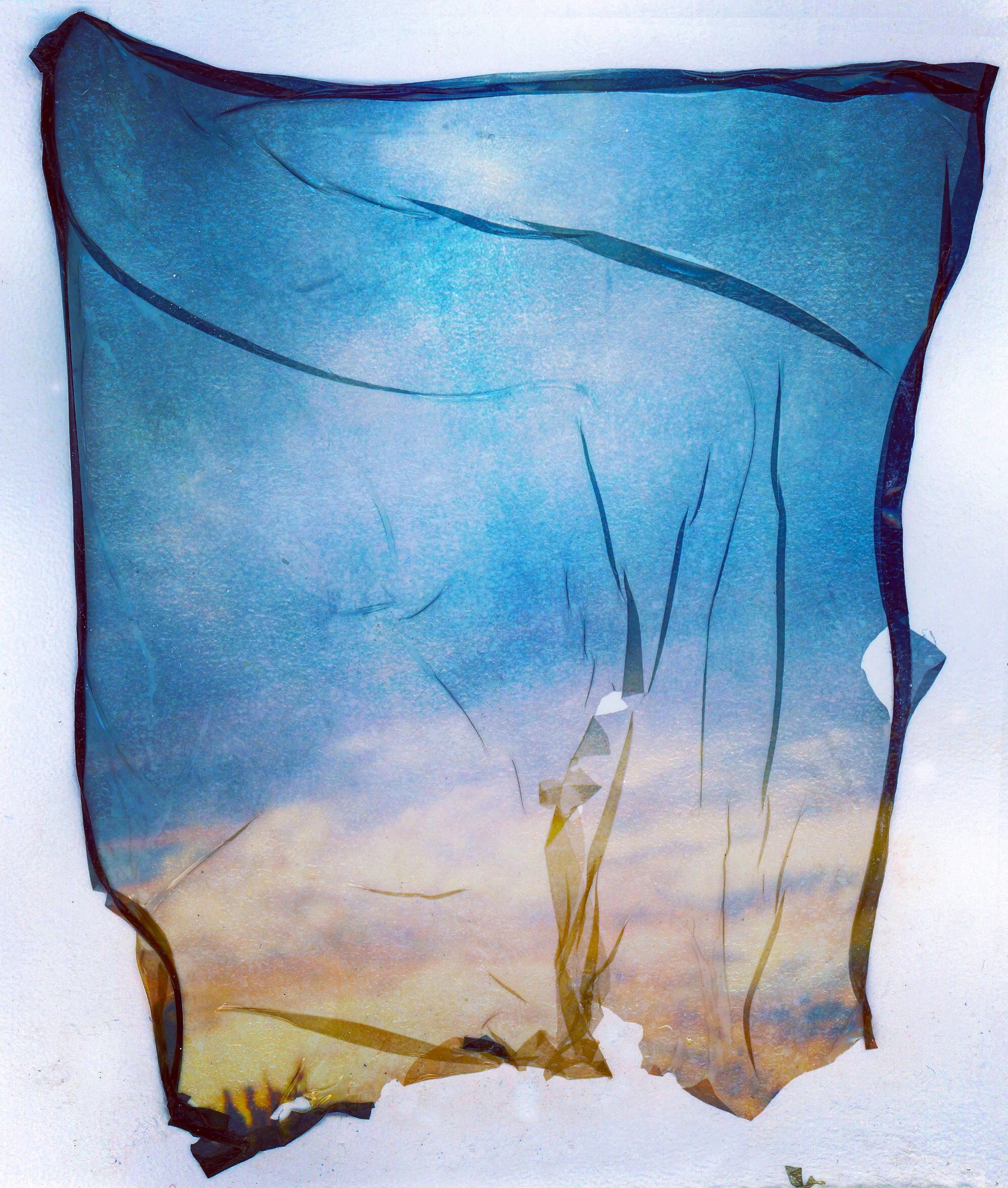 Photo Sep 05, 4 44 48 PM.jpg