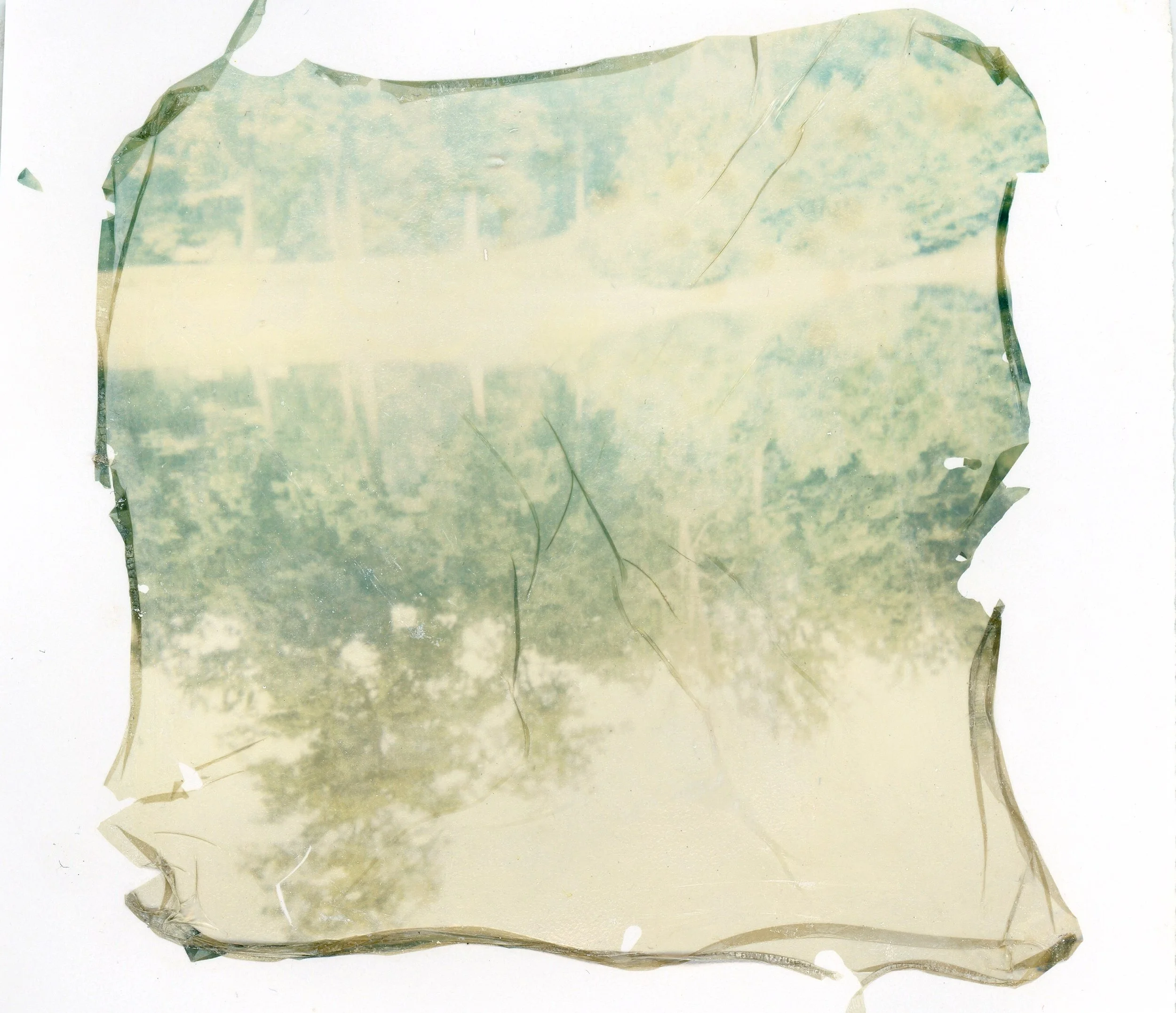 Photo Sep 05, 4 24 05 PM.jpg