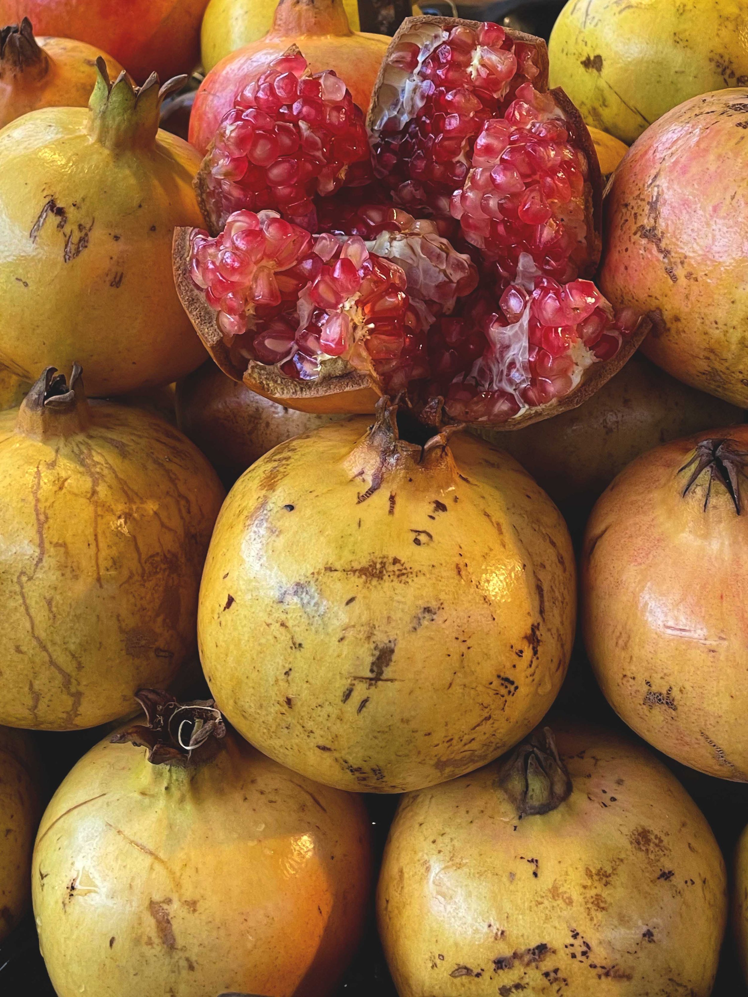 pomergrante copy.jpg